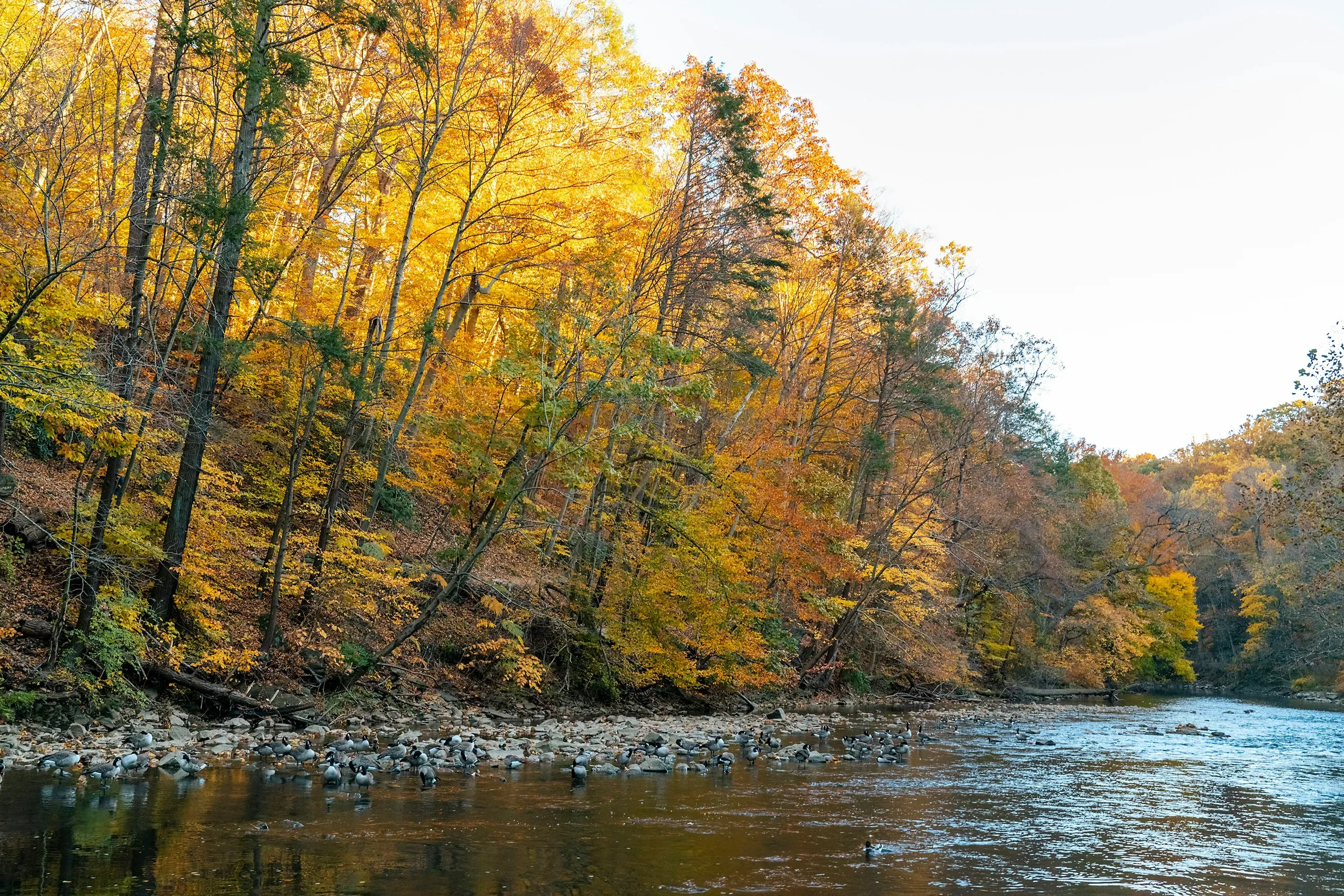 Pennsylvania
