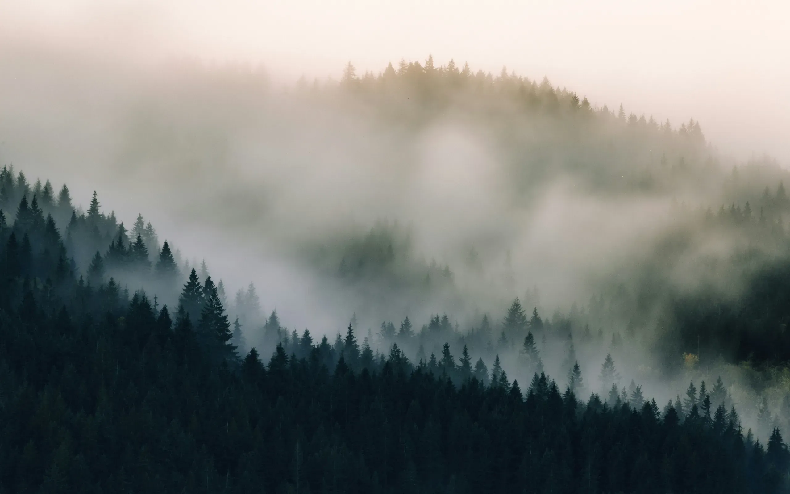 Issaquah, Washington