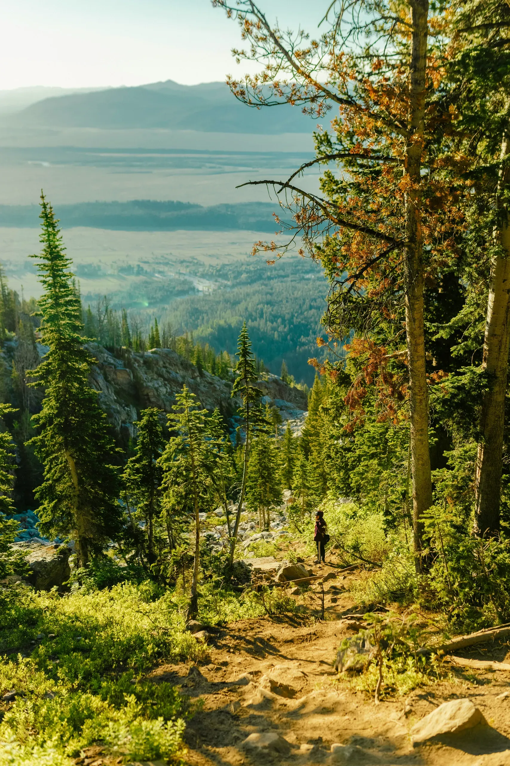 Grand Tetons, Wyoming