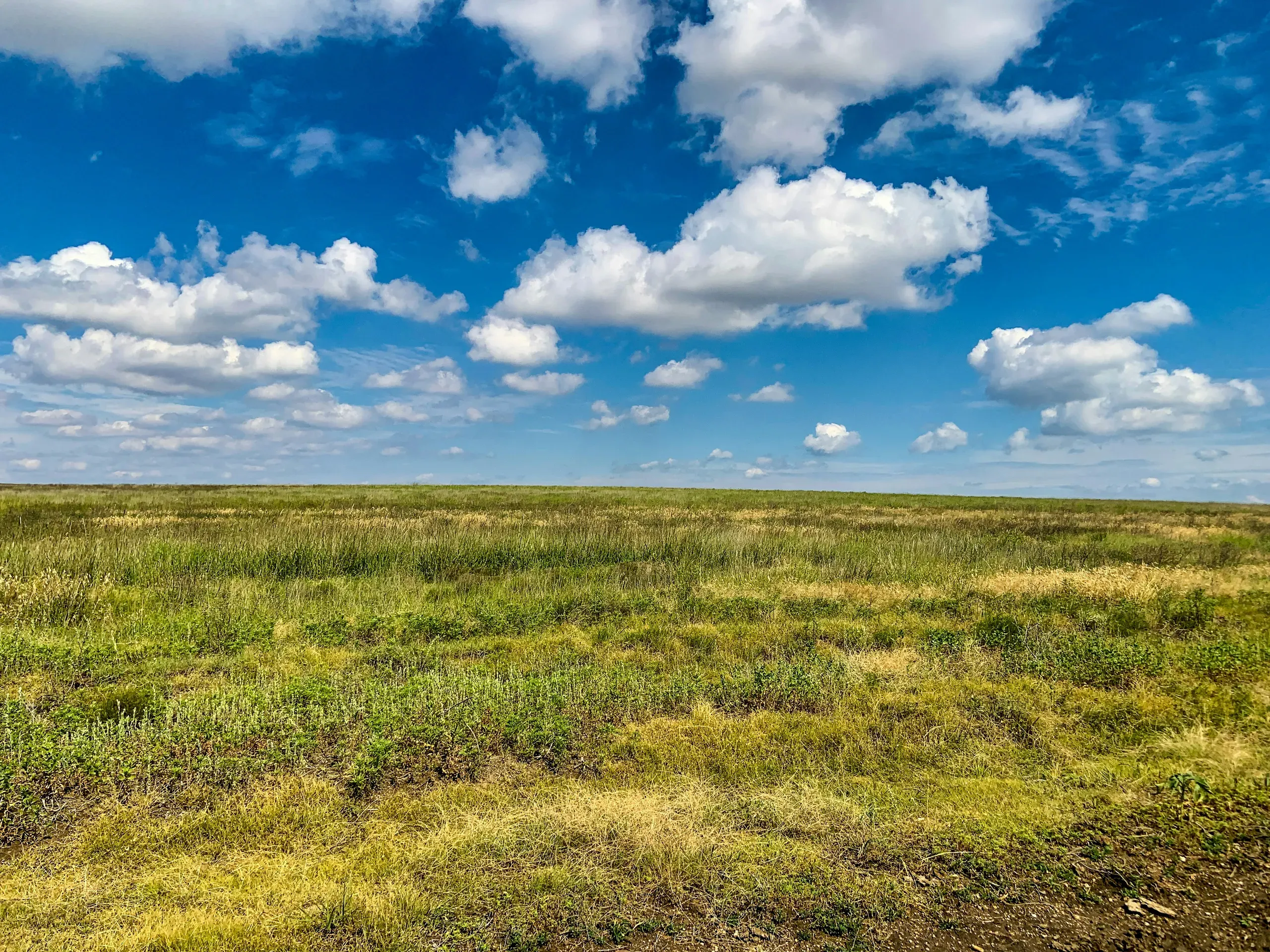 On the way to Castle Rock, Larrabee, Kansas