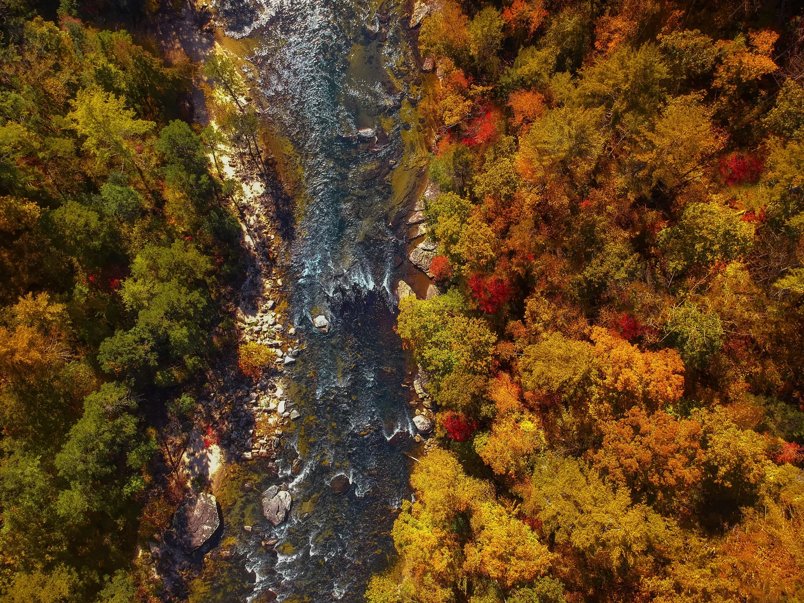 Clayton, Georgia