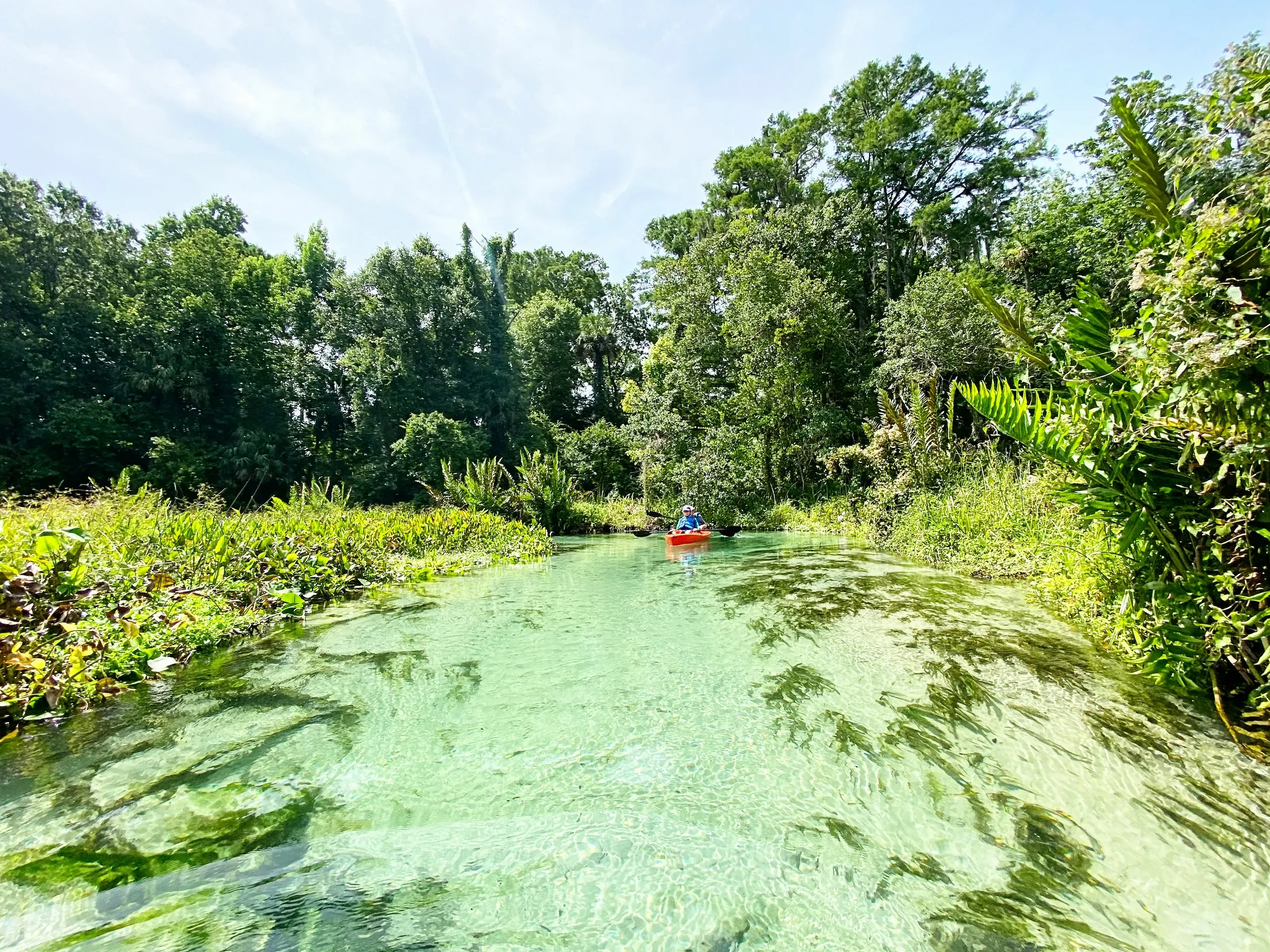 Rock Springs, Kelly Park, Florida