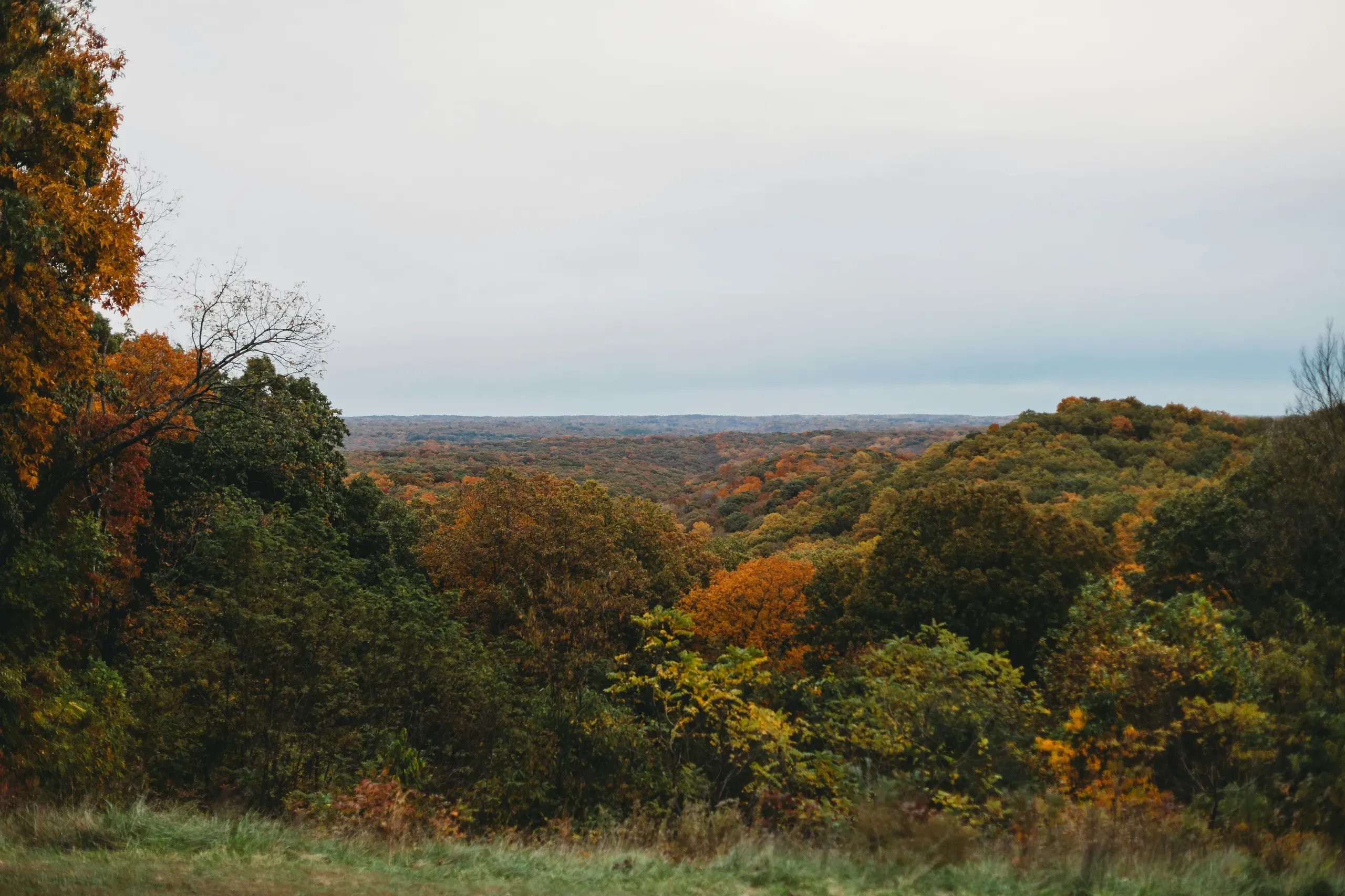 Brown County State Park Road, Nashville, Indiana