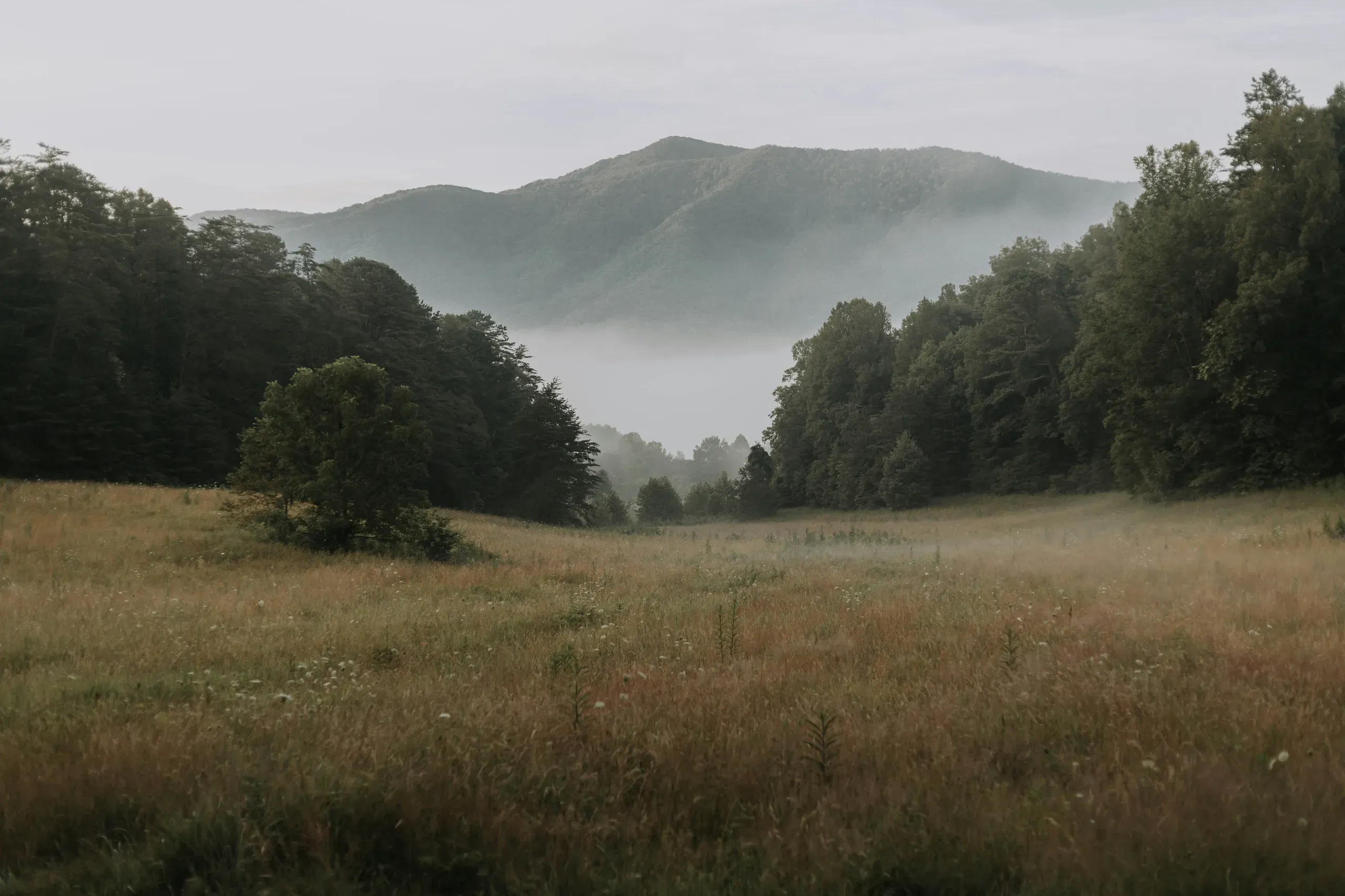 Smoky Mountains, Tennessee
