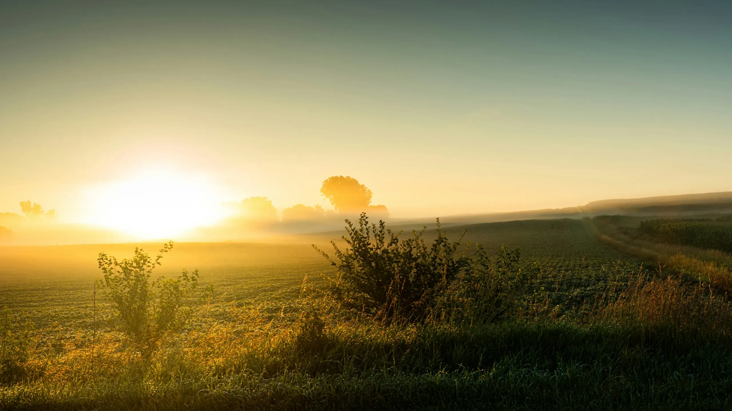 Sunrise in rural Iowa