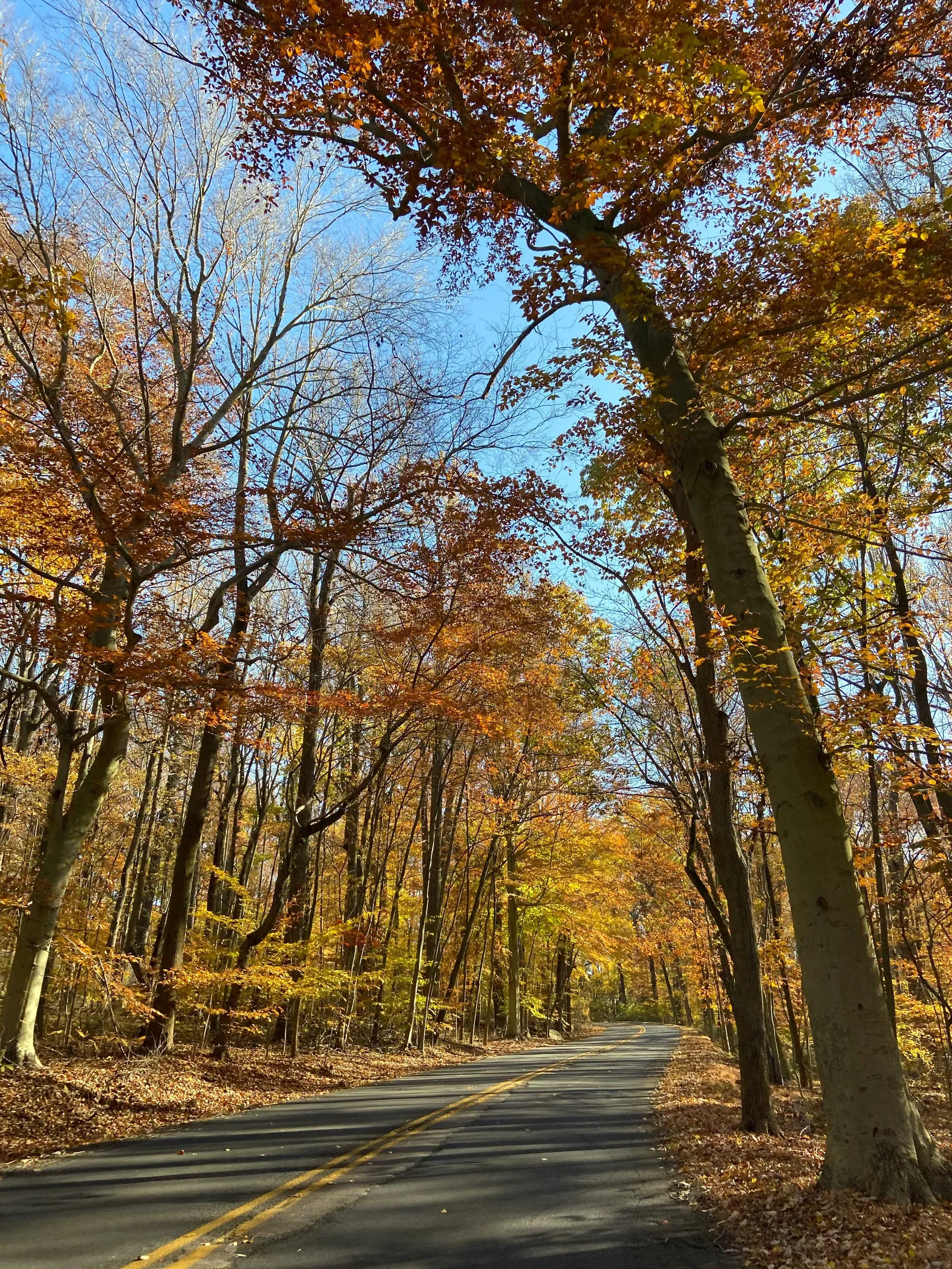Sussex County, Delaware