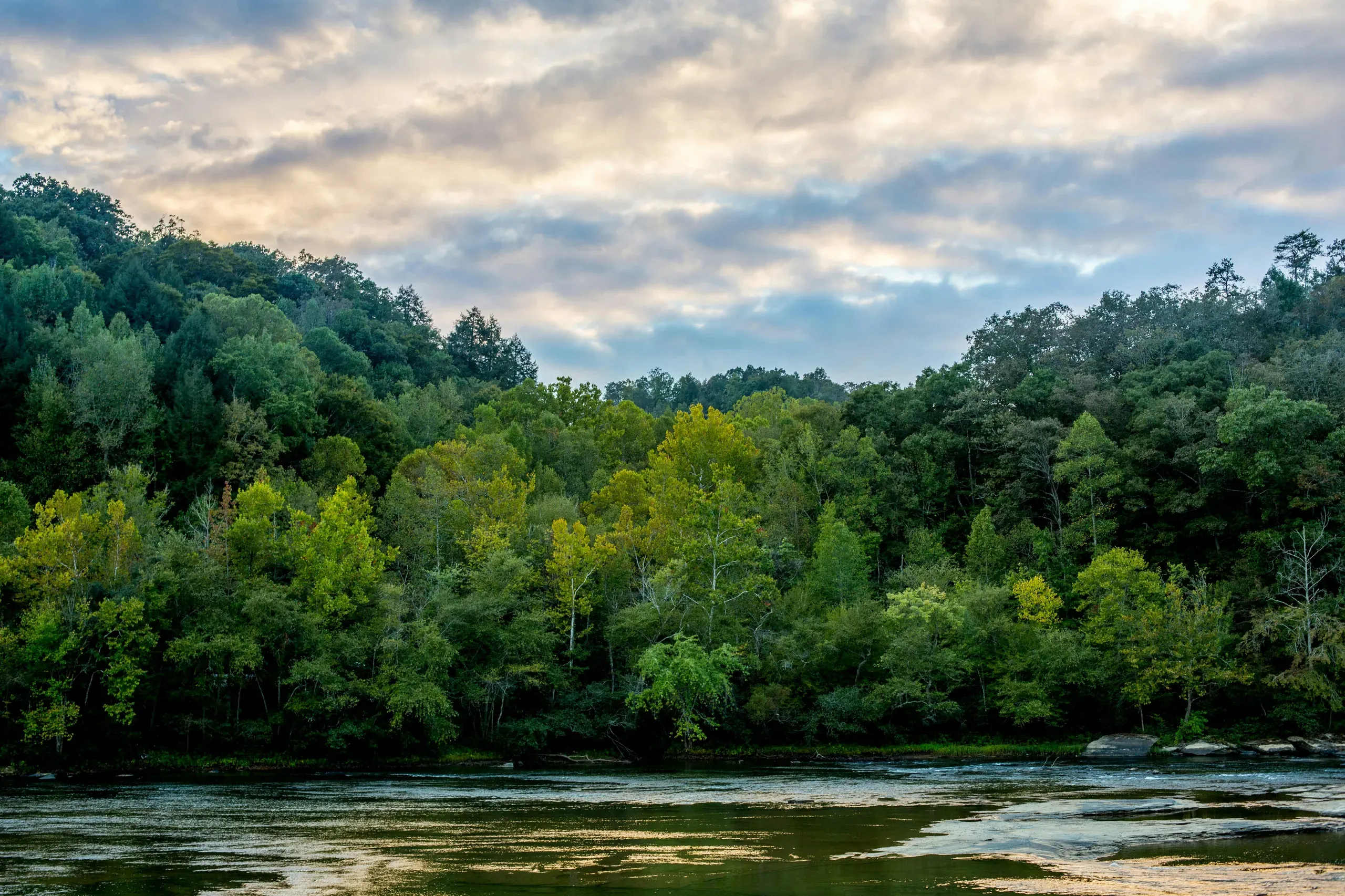 Upstream from Cumberland Falls, Kentucky in Autumn just as the trees are starting to change.