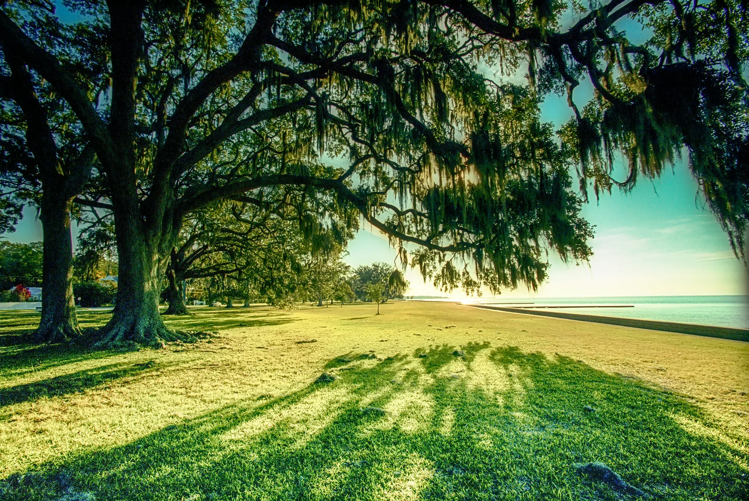 Early morning light casts long shadows from trees across a green grassy field next to the water in Mandeville, Louisiana.