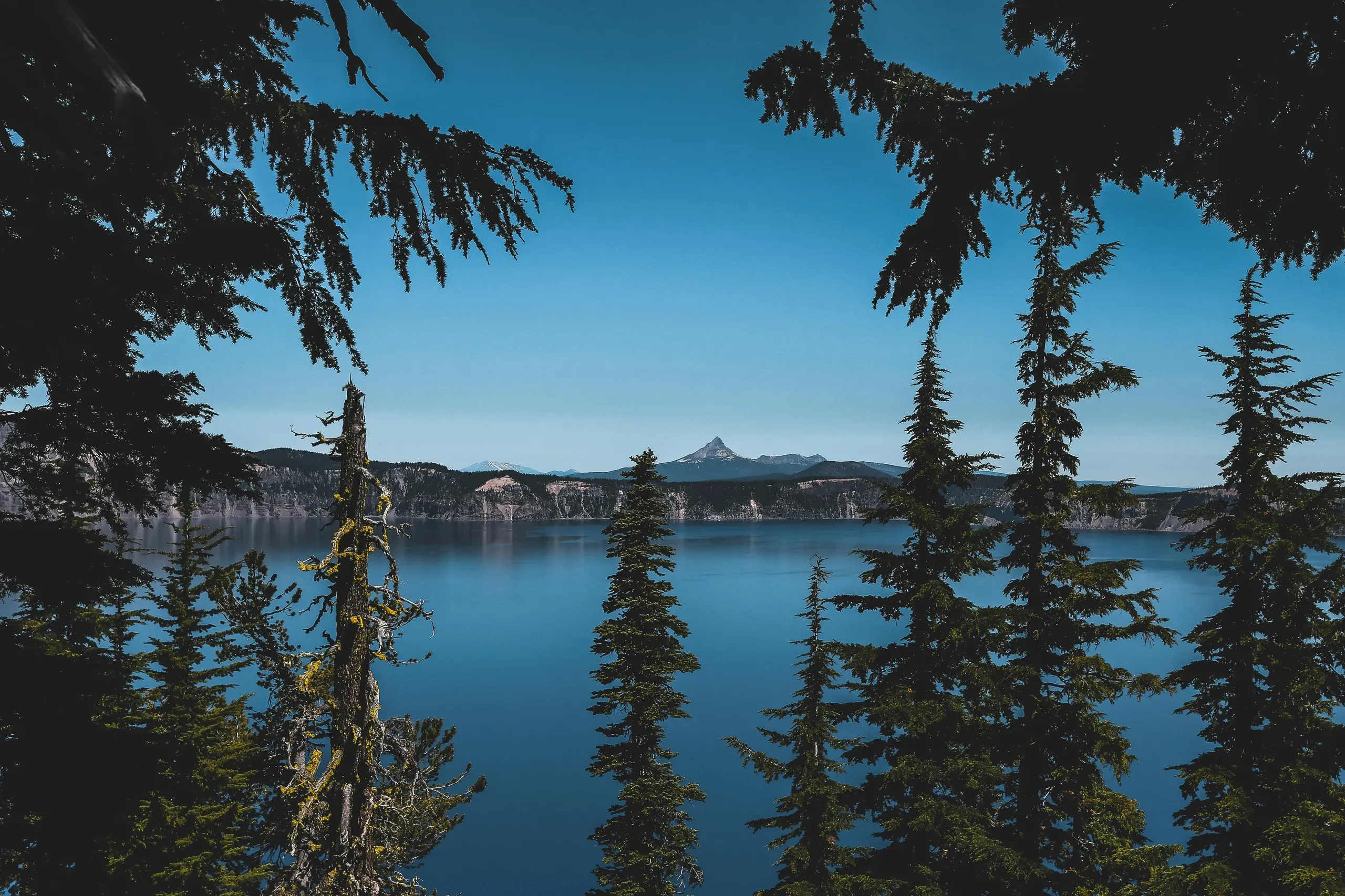 Klamath County, Oregon. Green trees against body of water photo