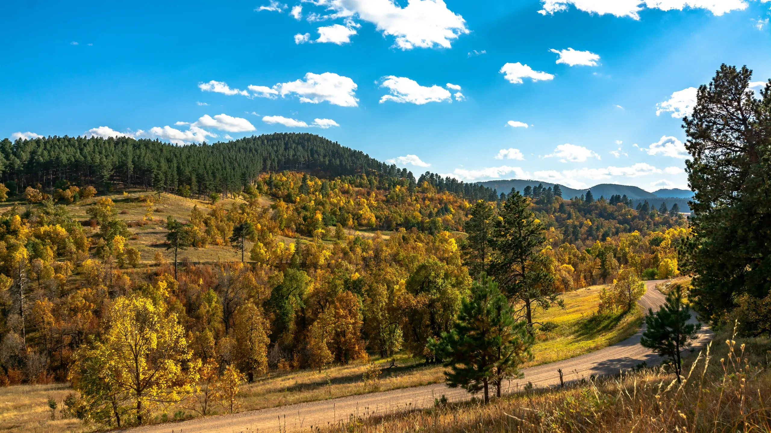 Sturgis, South Dakota