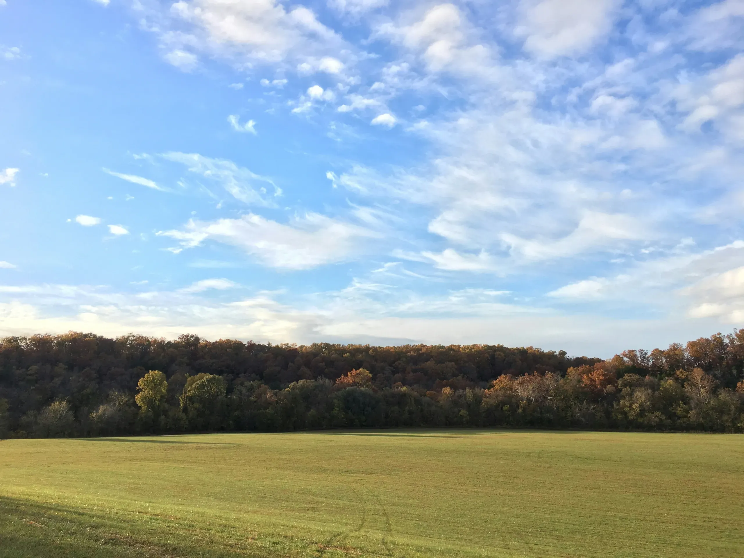 Brown Branch, SW Missouri