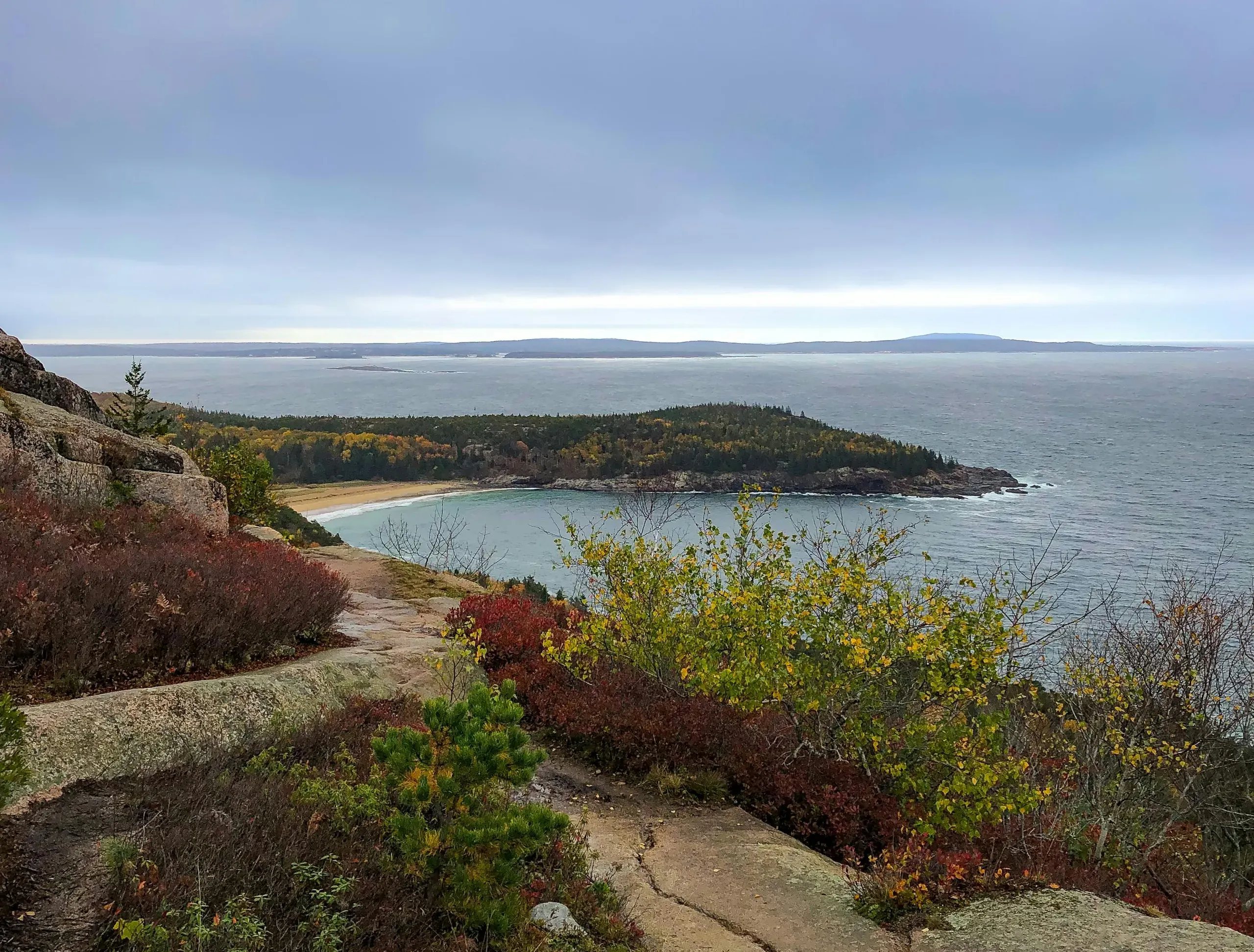 A rocky mountain cliff covered with green and red autumnal plants slopes down to the sea in Bar Harbor, Maine.