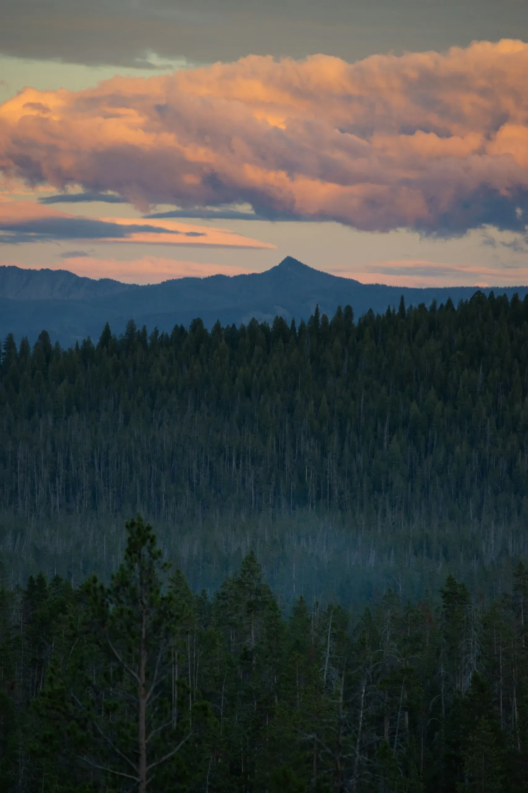 Idaho