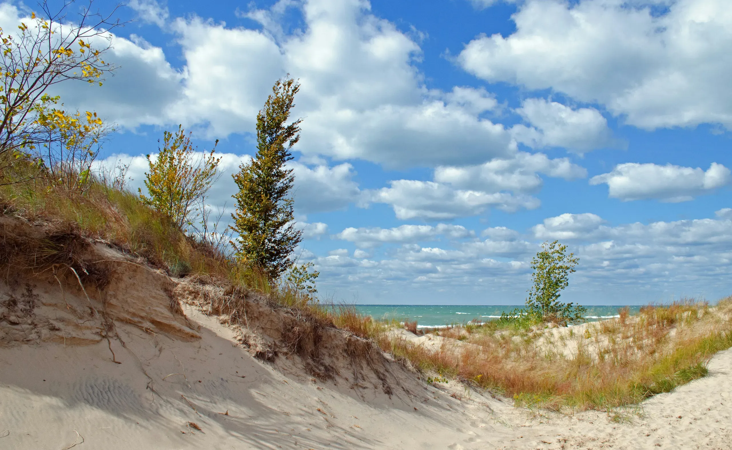 Grand Mere State Park, Thornton Drive, Stevensville, Michigan