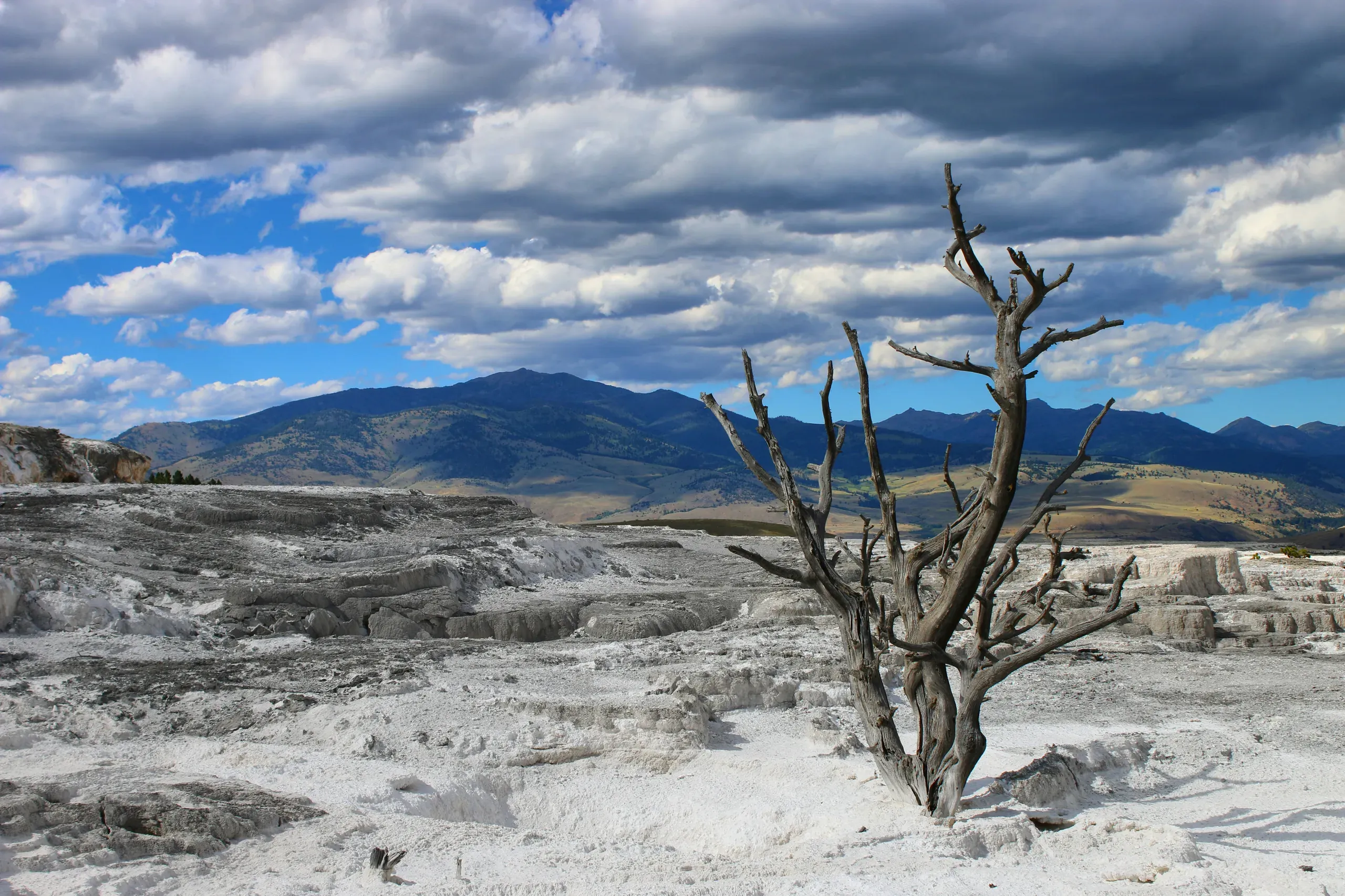 Mammoth Springs in Yellowstone National Park, Wyoming