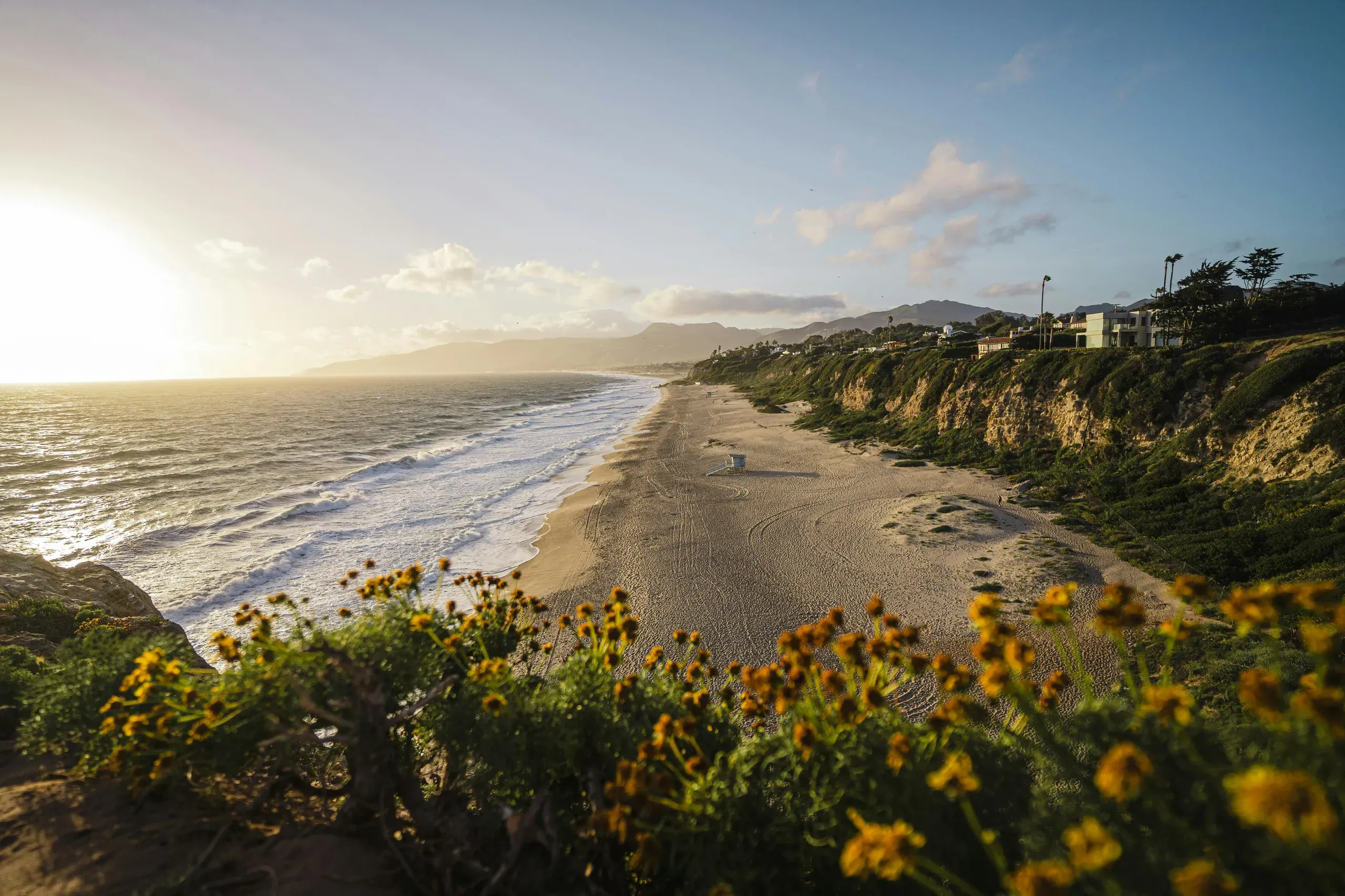 Malibu, California. A beach with flowers and a sun setting