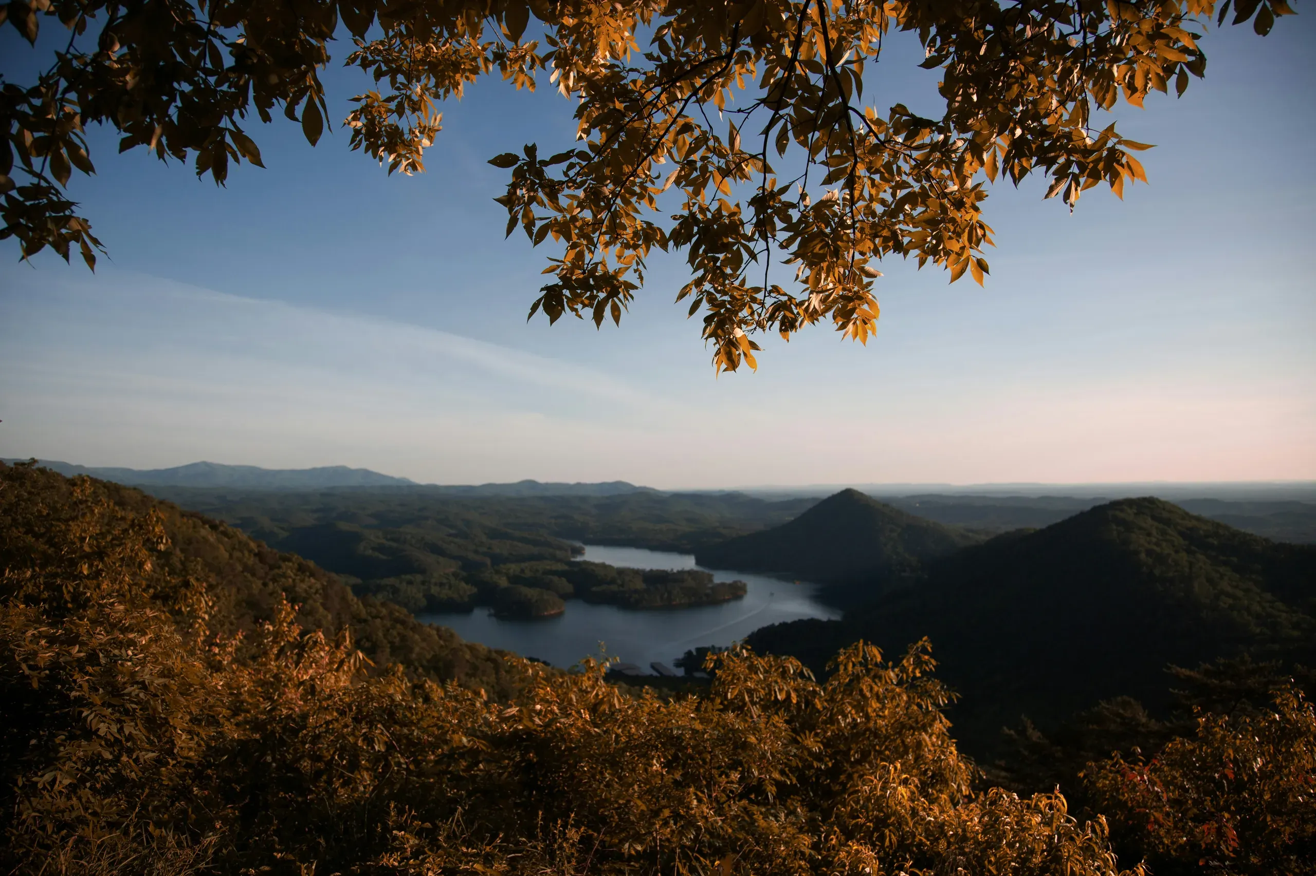 Chilhowee Mountain, Tennessee