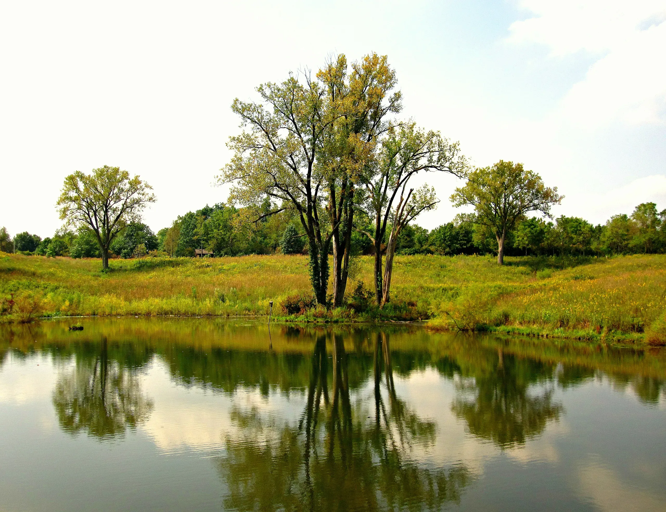Fall afternoon in Iowa