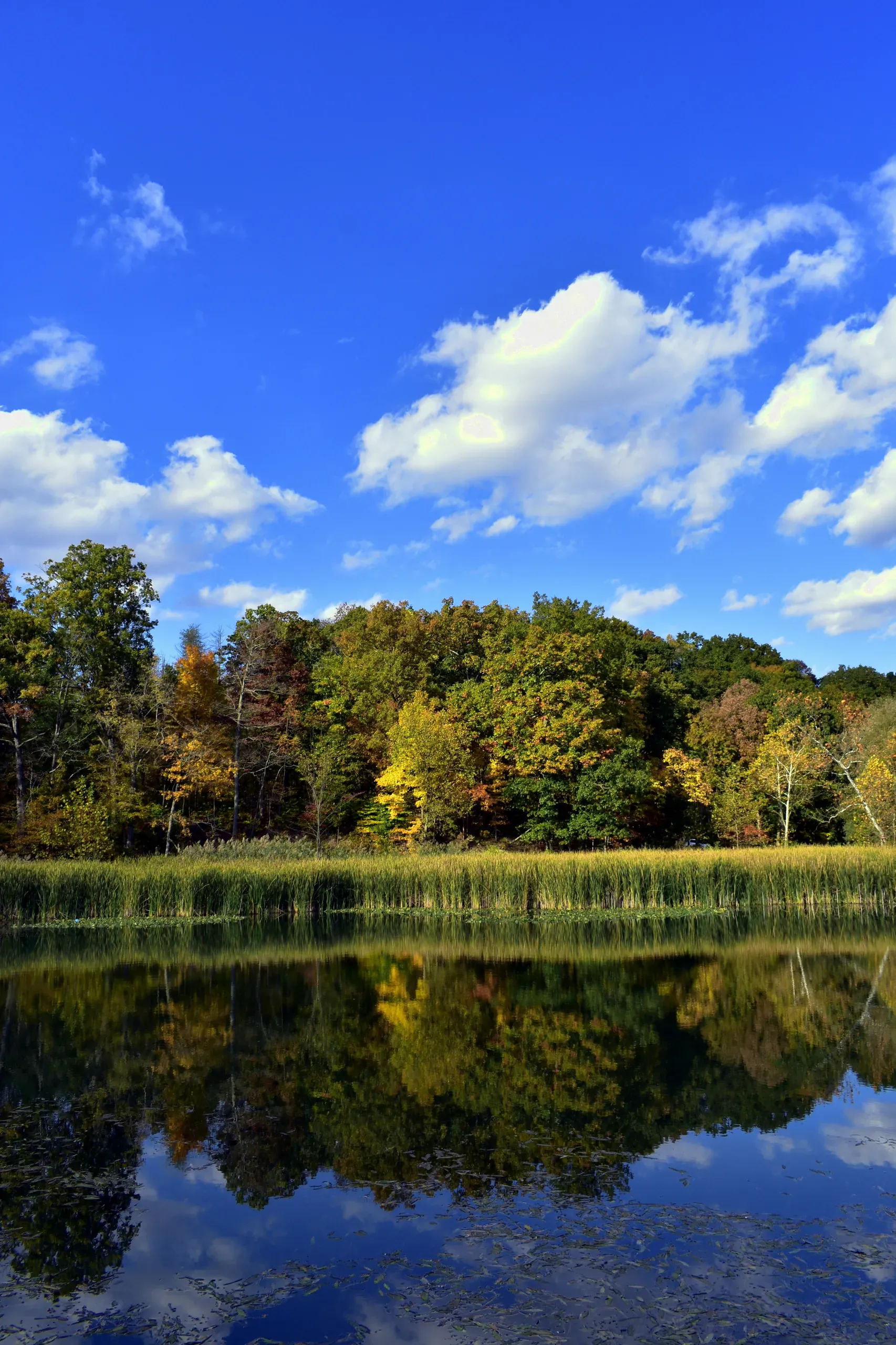 Late October in a park in the Cuyahoga Valley in Ohio