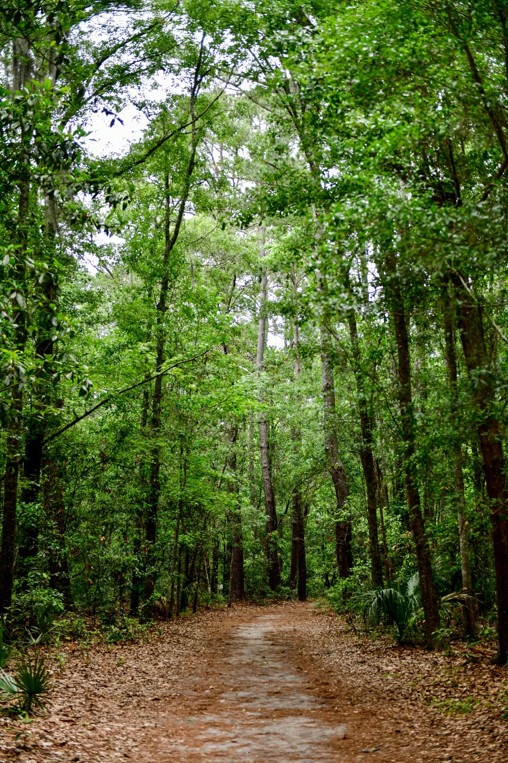Savannah, Georgia