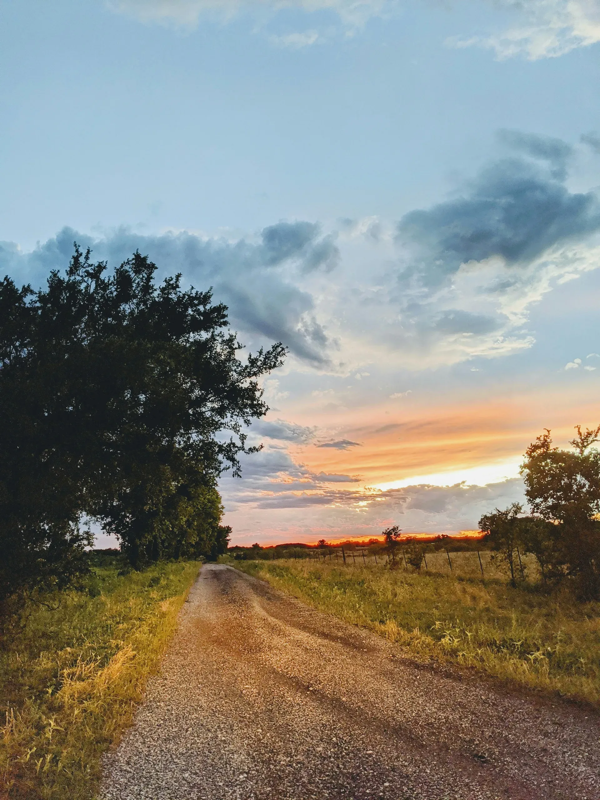 Country road near Lake Granger, Texas