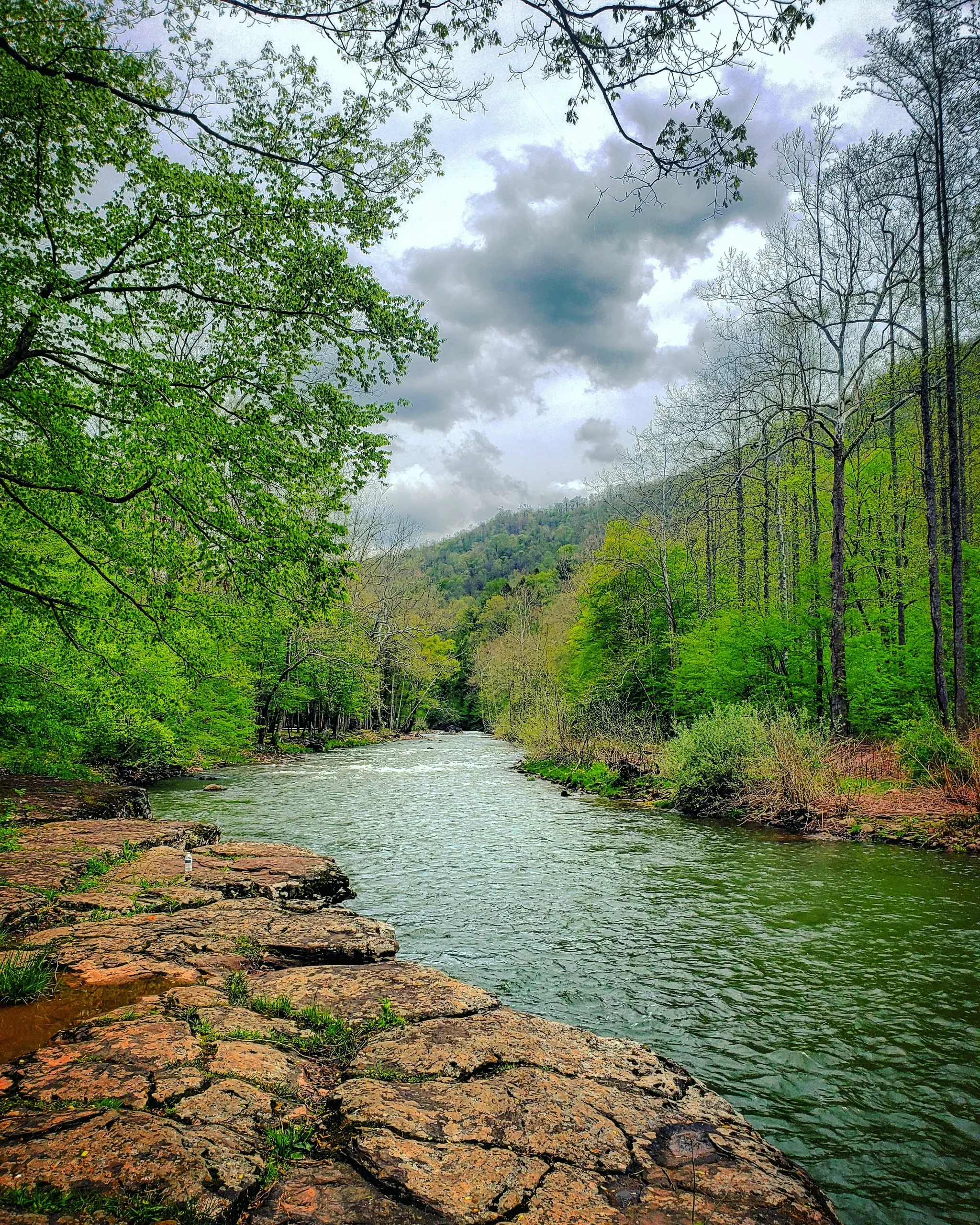 Bergoo, West Virginia