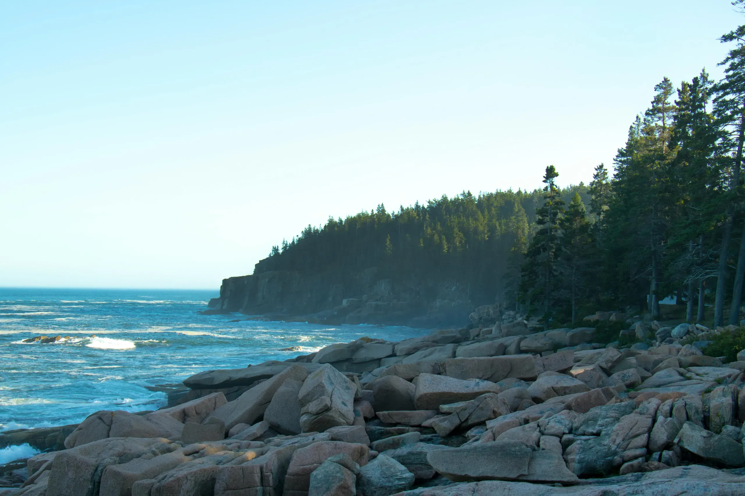 Lush green trees line the rocky shore of a calm body of water in Acadia, Maine.