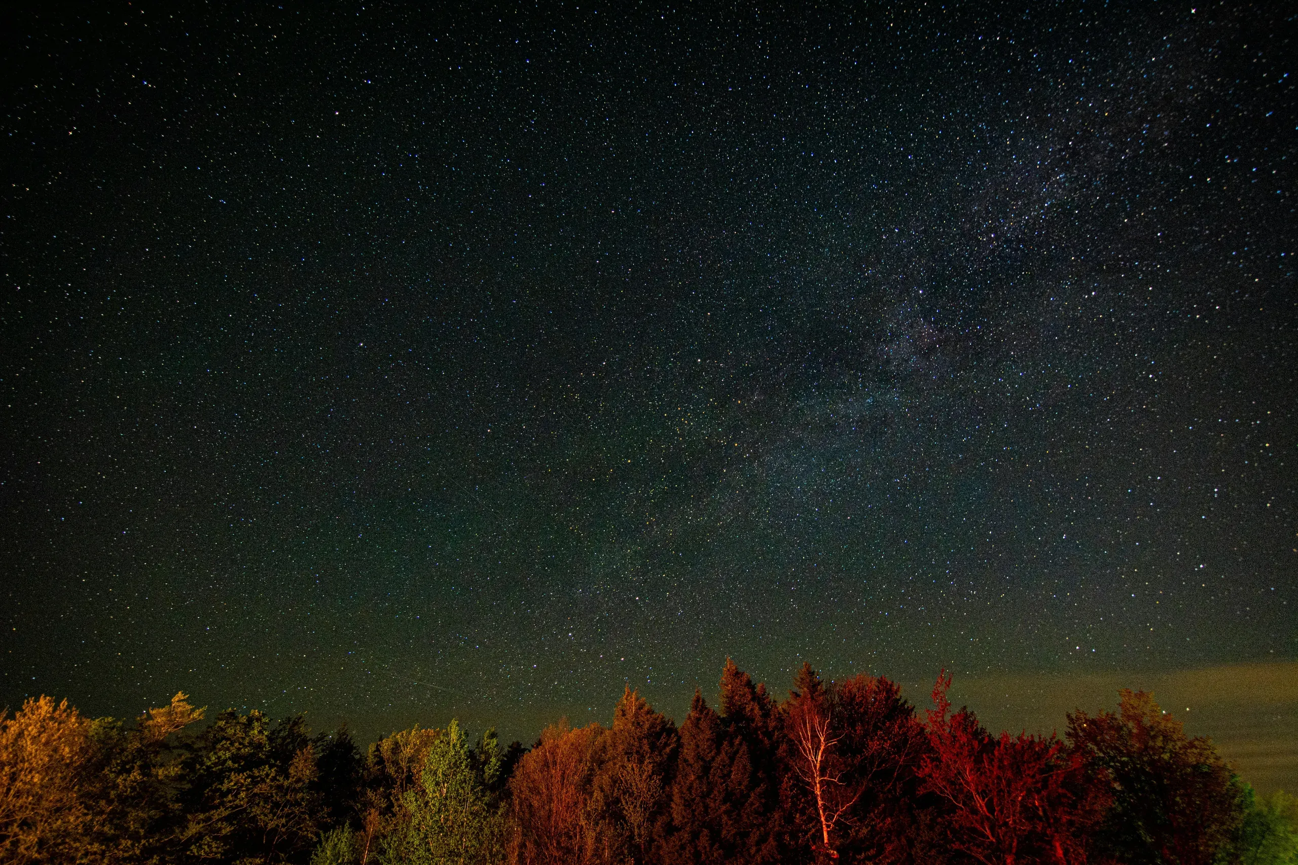 Marlboro, Vermont. Star field over the trees
