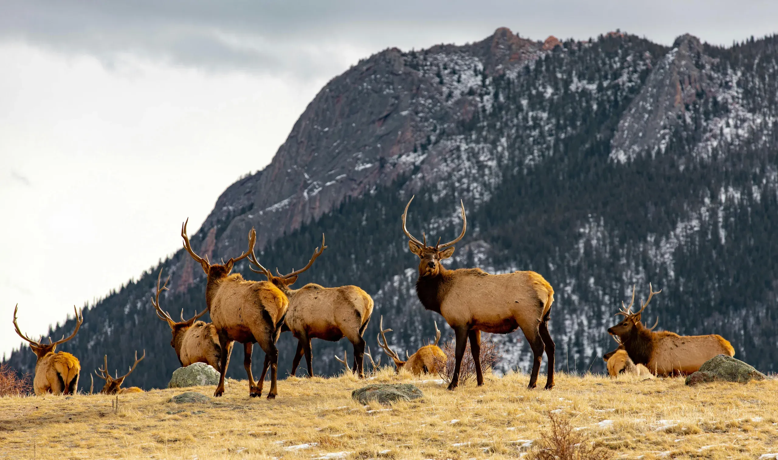 Estes Park, Colorado