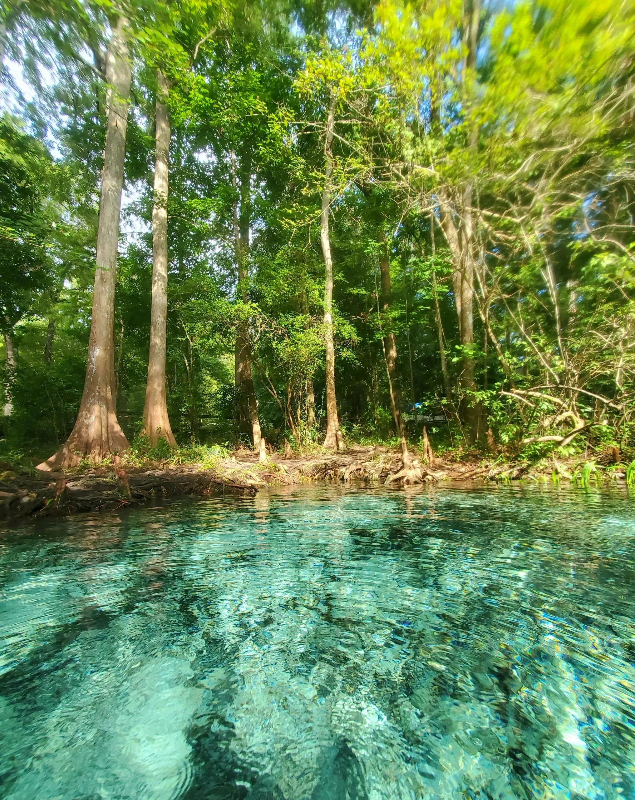 Ginnie Spring, Florida
