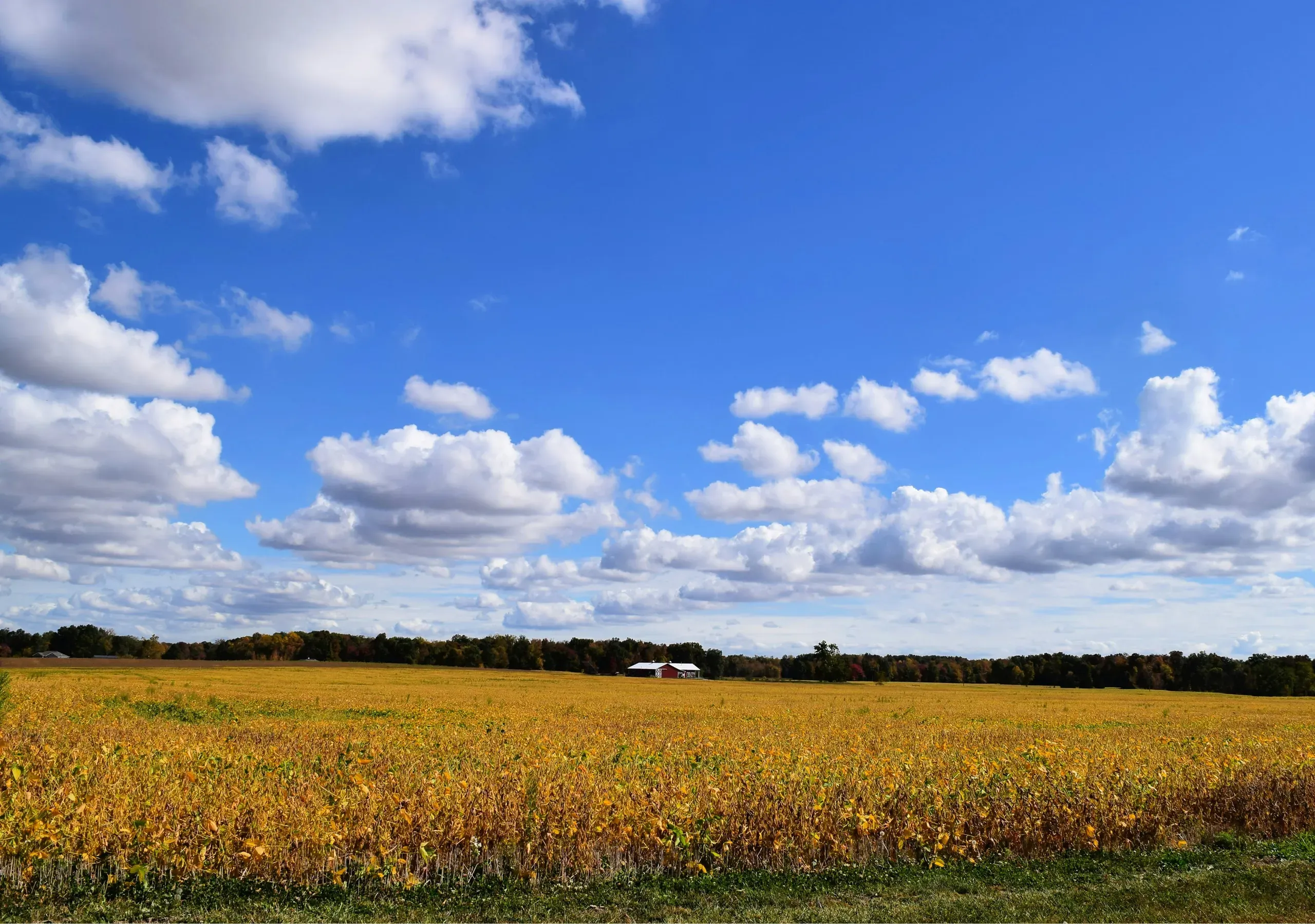Columbus, Indiana