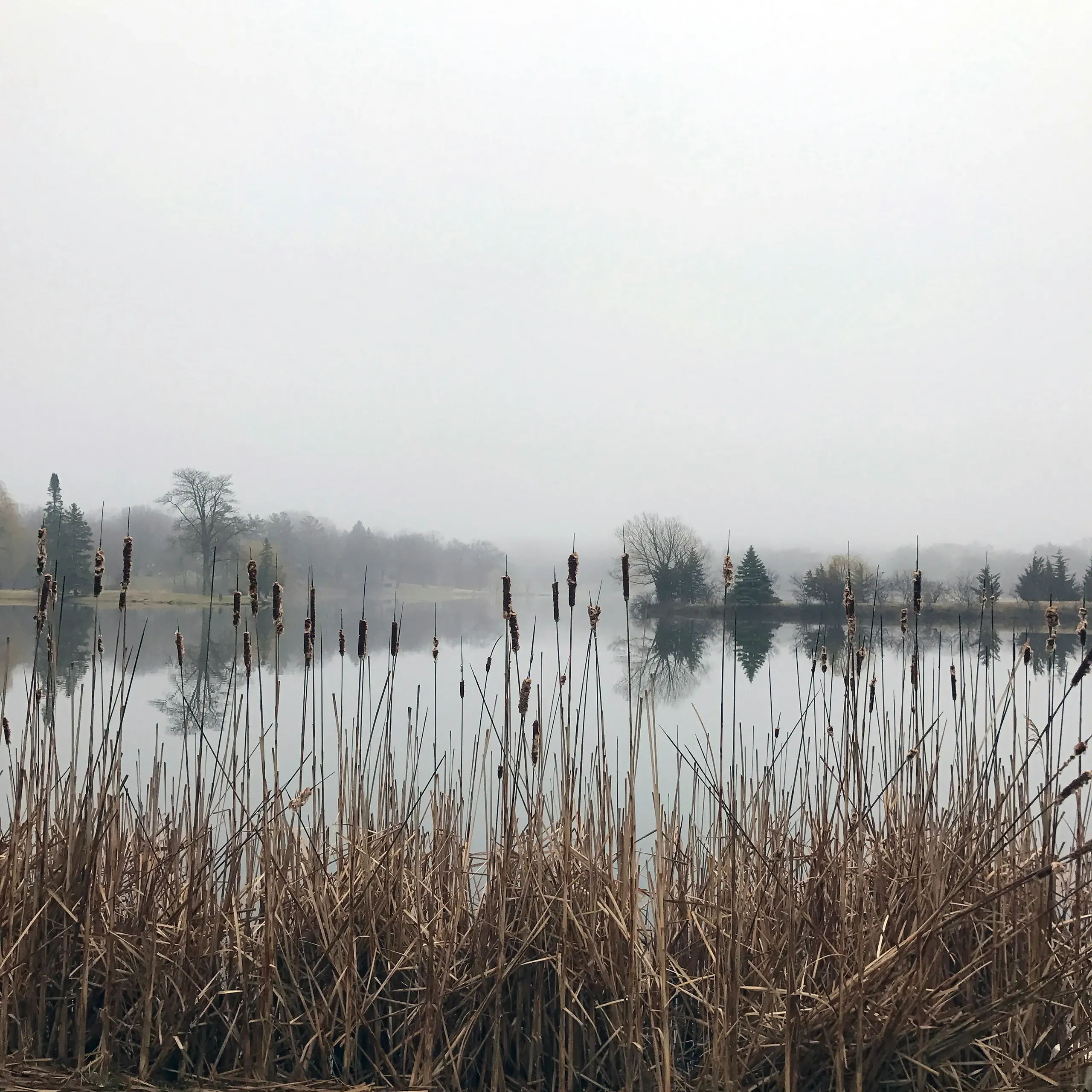 Barrington, Illinois