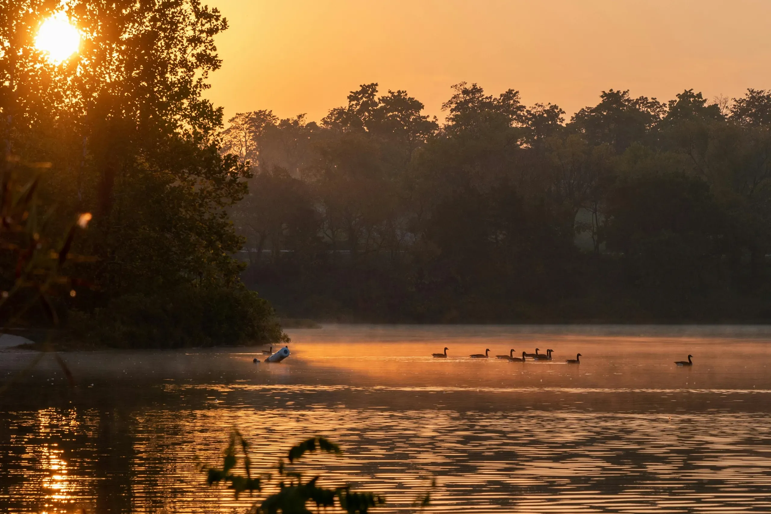 Kansas. A sunrise at a lake.