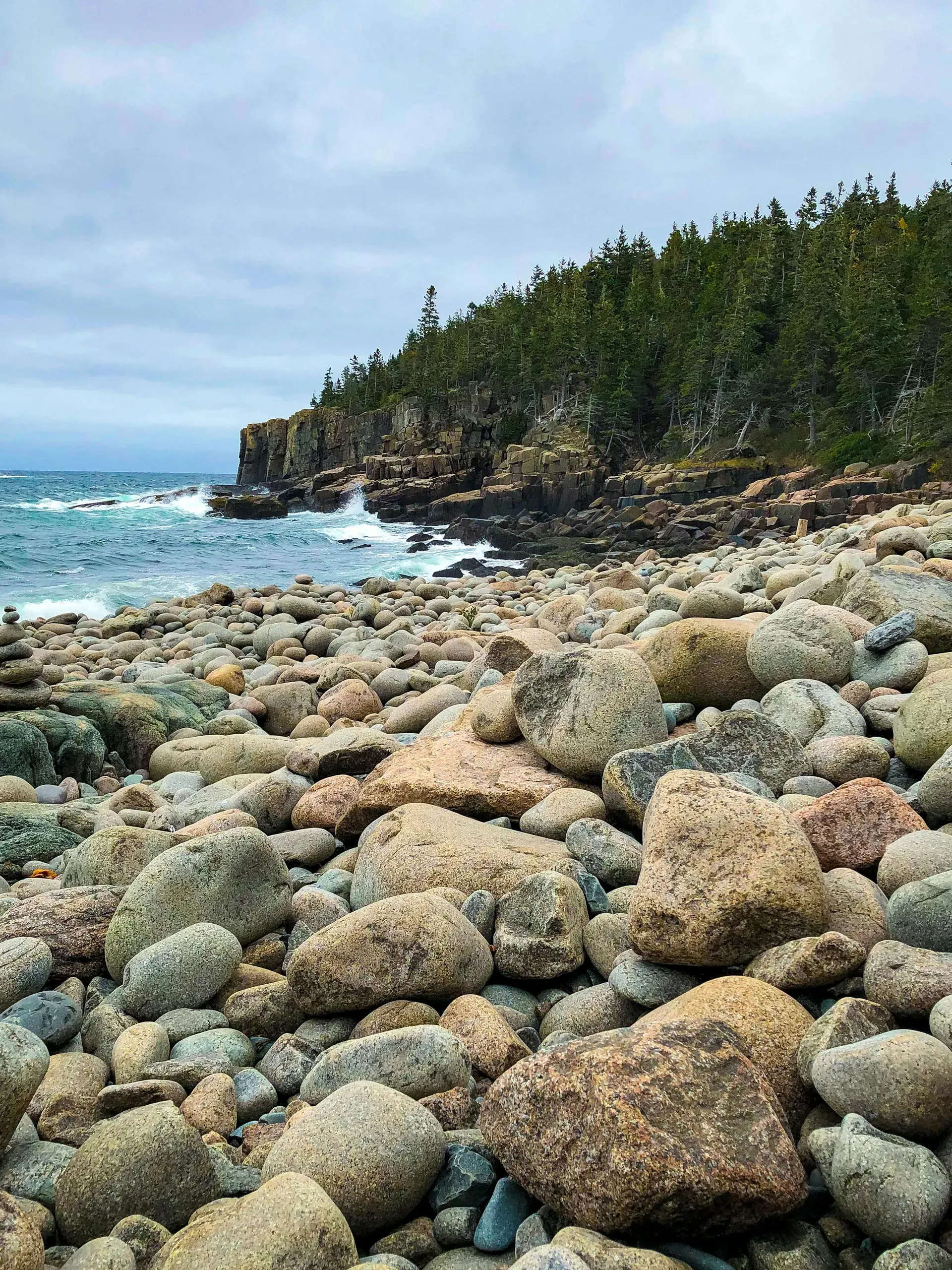 A seashore of large, rounded stones meets a forest of green pine trees on a cliff in Acadia National Park, Bar Harbor, Maine.