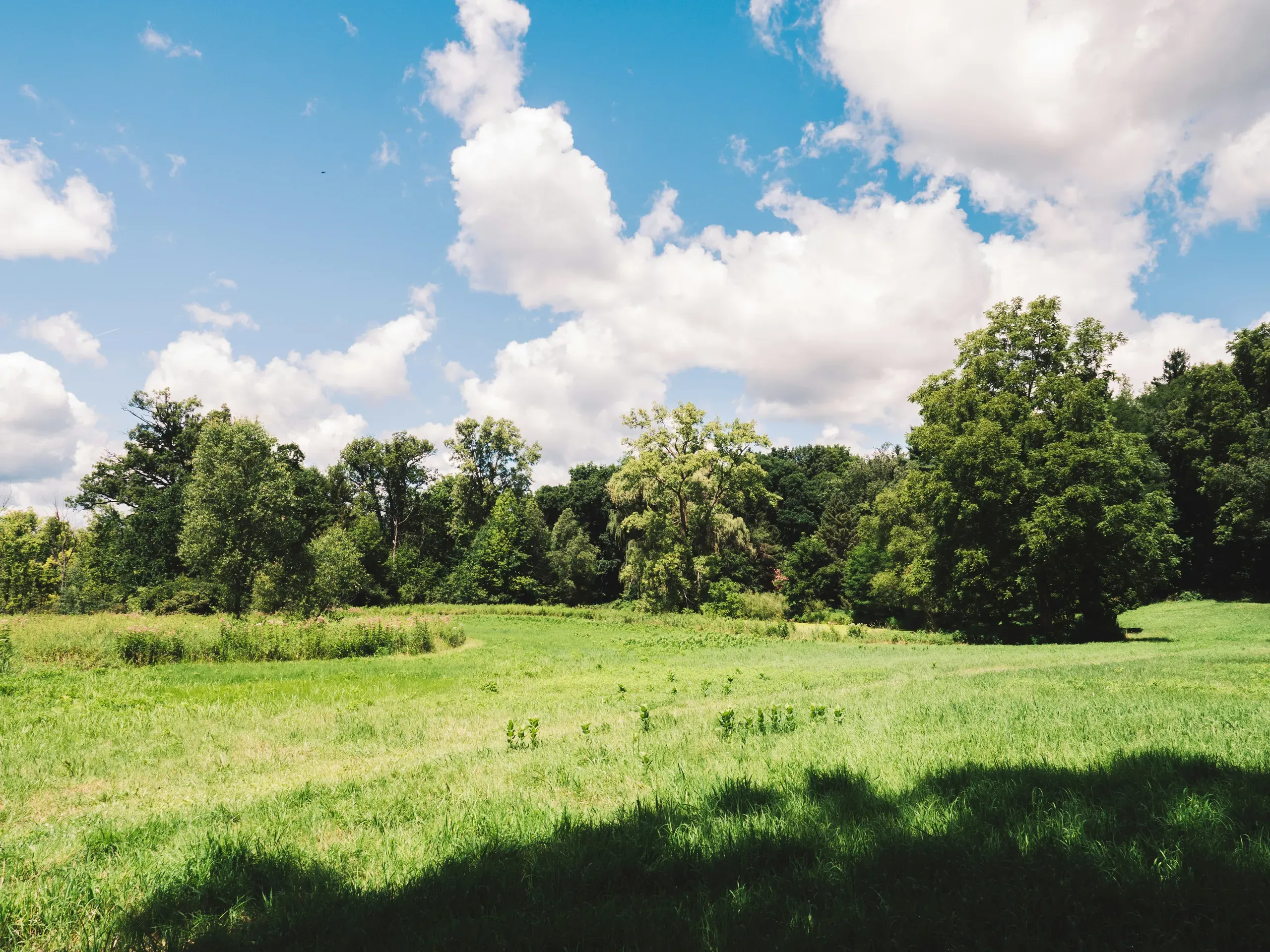 Lutz Rd, Linden, Michigan