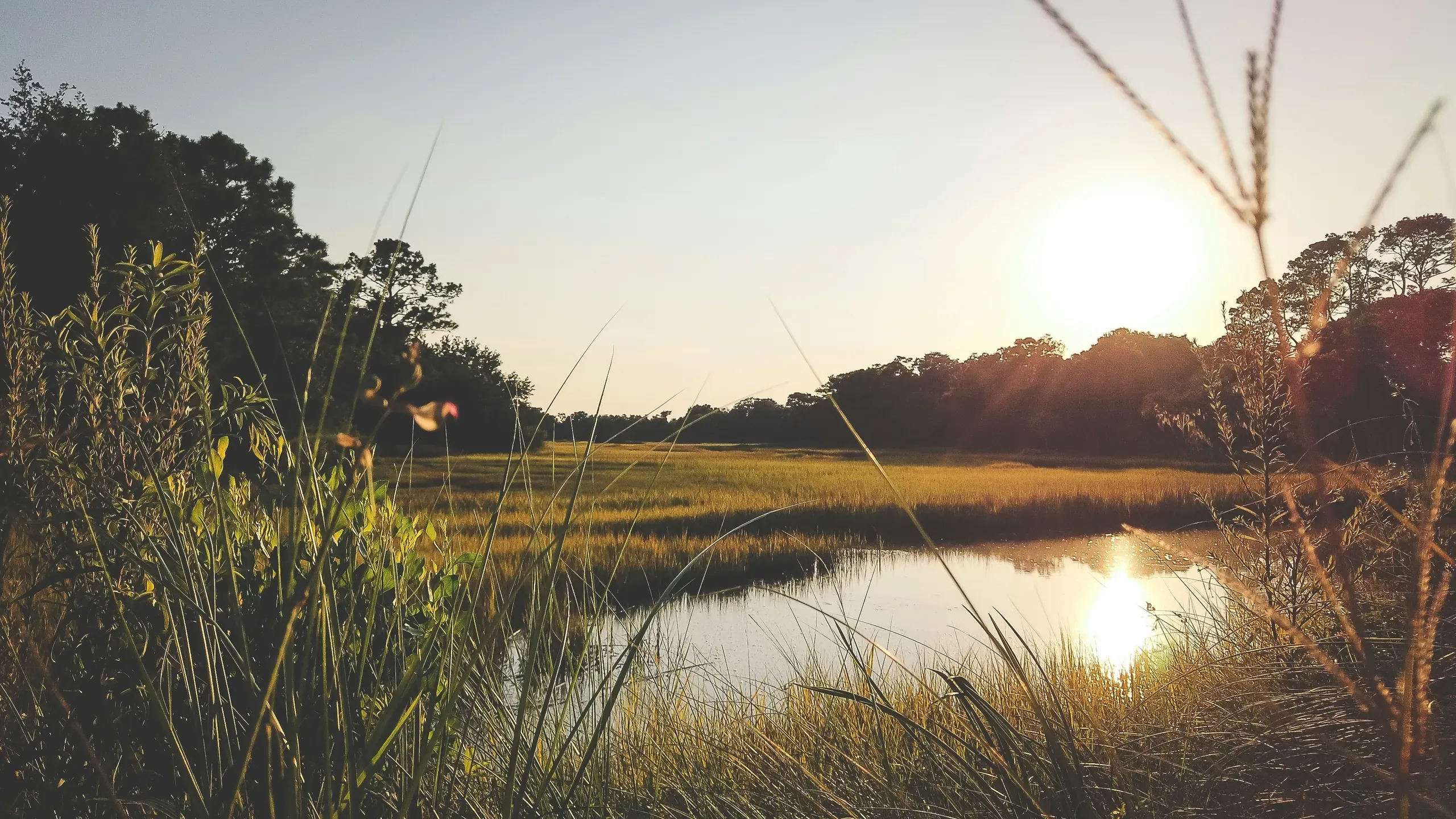 Sunset near Kiawah Island, South Carolina, on the marsh