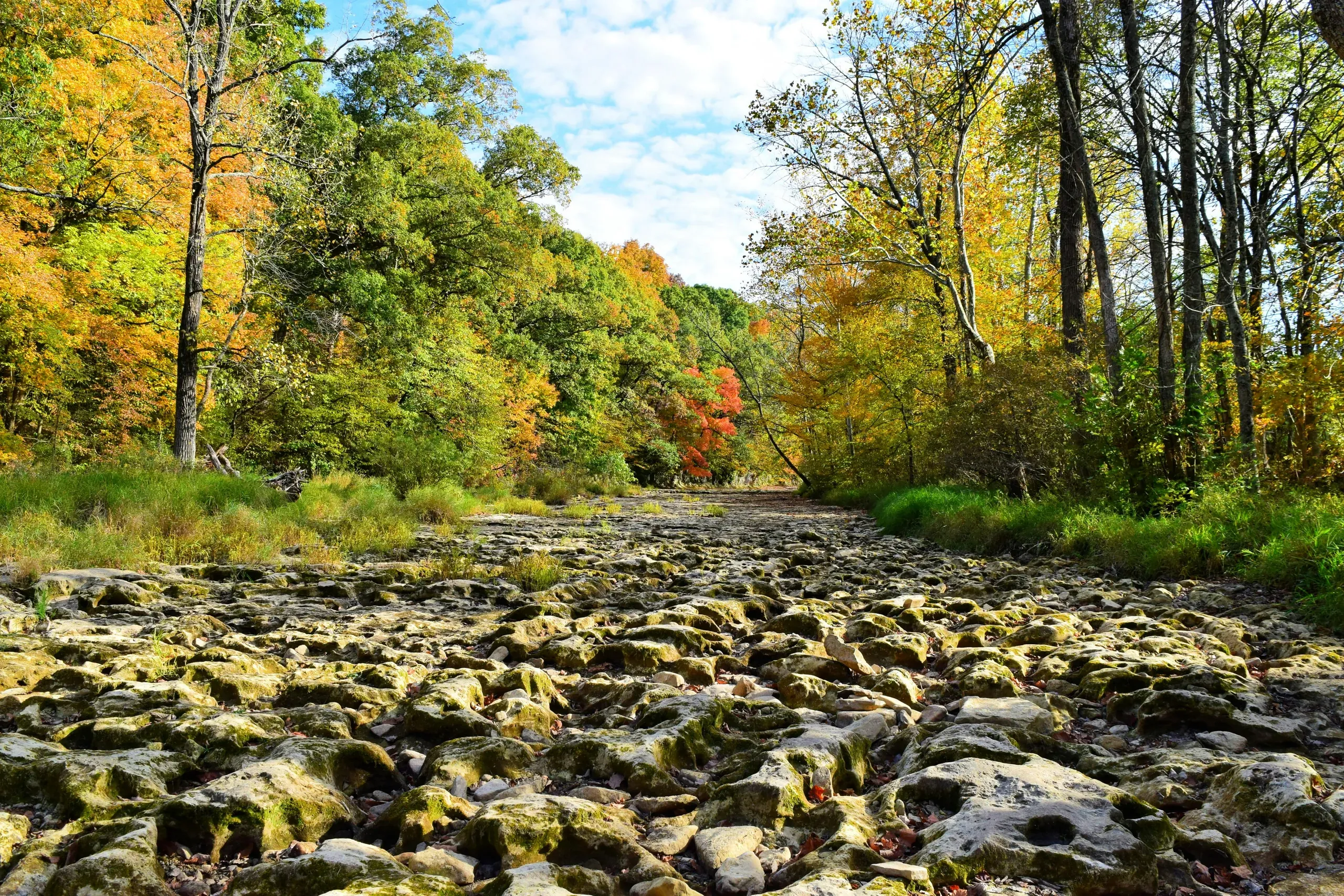 Anderson Falls dry bed, Hartsville, Indiana