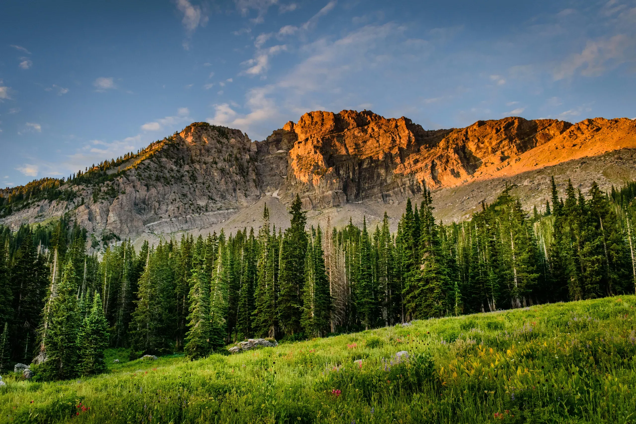 Alta, Utah