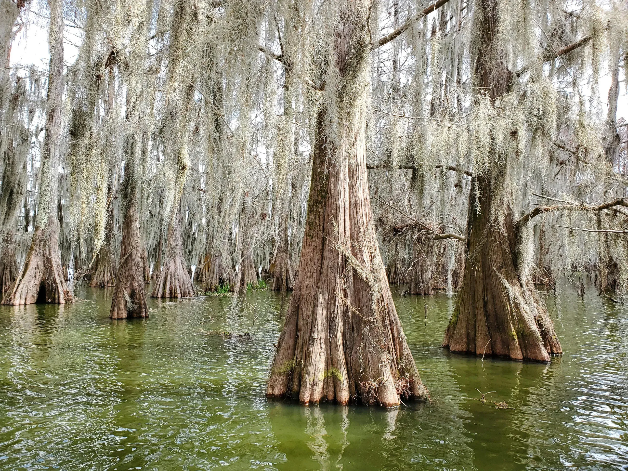 Lafayette, Louisiana