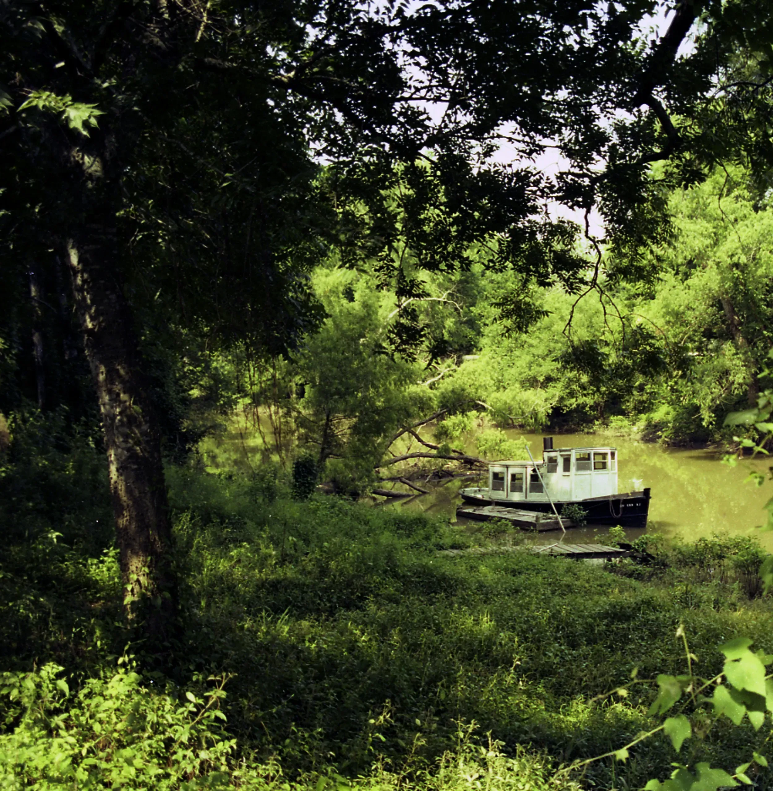 A small white boat with a blue cover is anchored in the calm, reflective water of a bayou, surrounded by trees.