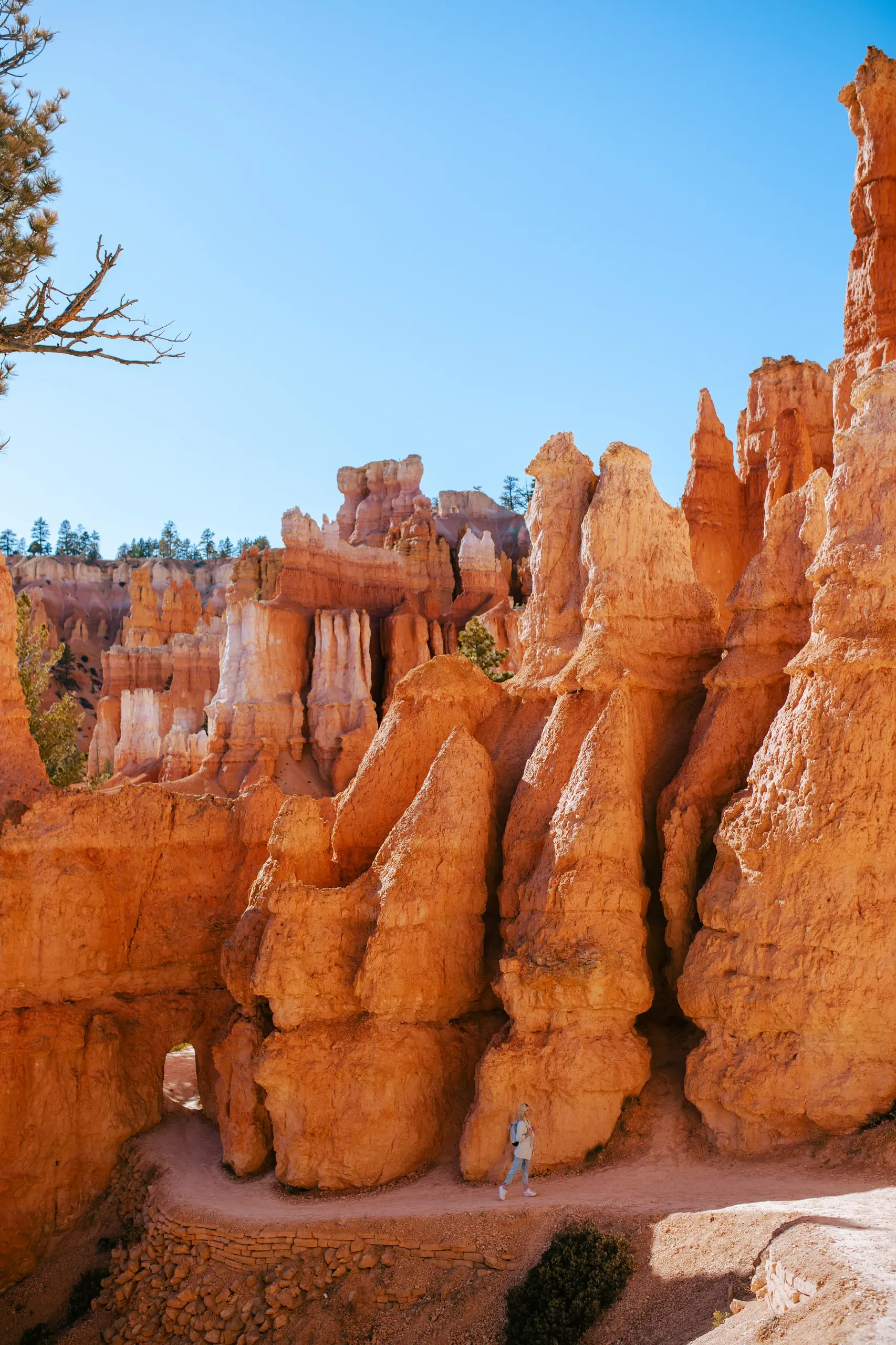 Bryce Canyon, Utah