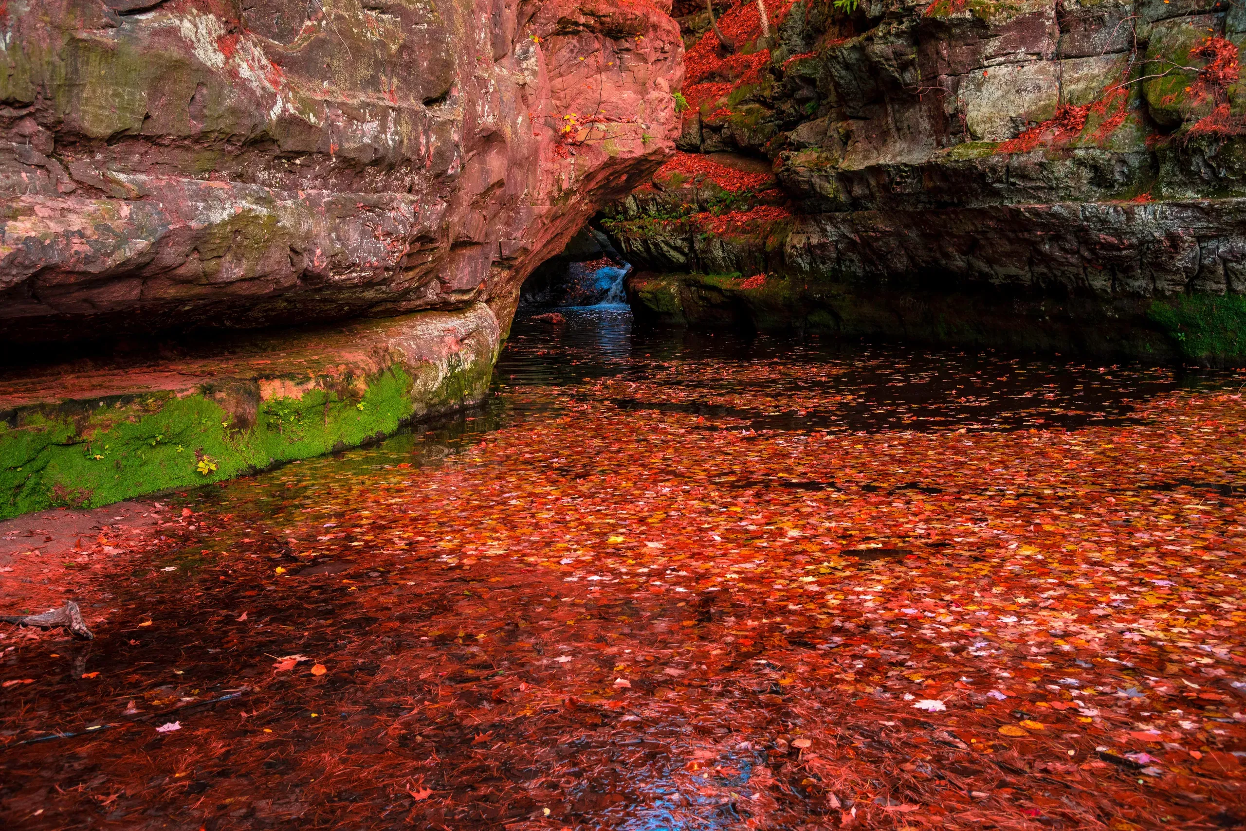 Baraboo, Wisconsin. Rock formation on body of water covered with leaves