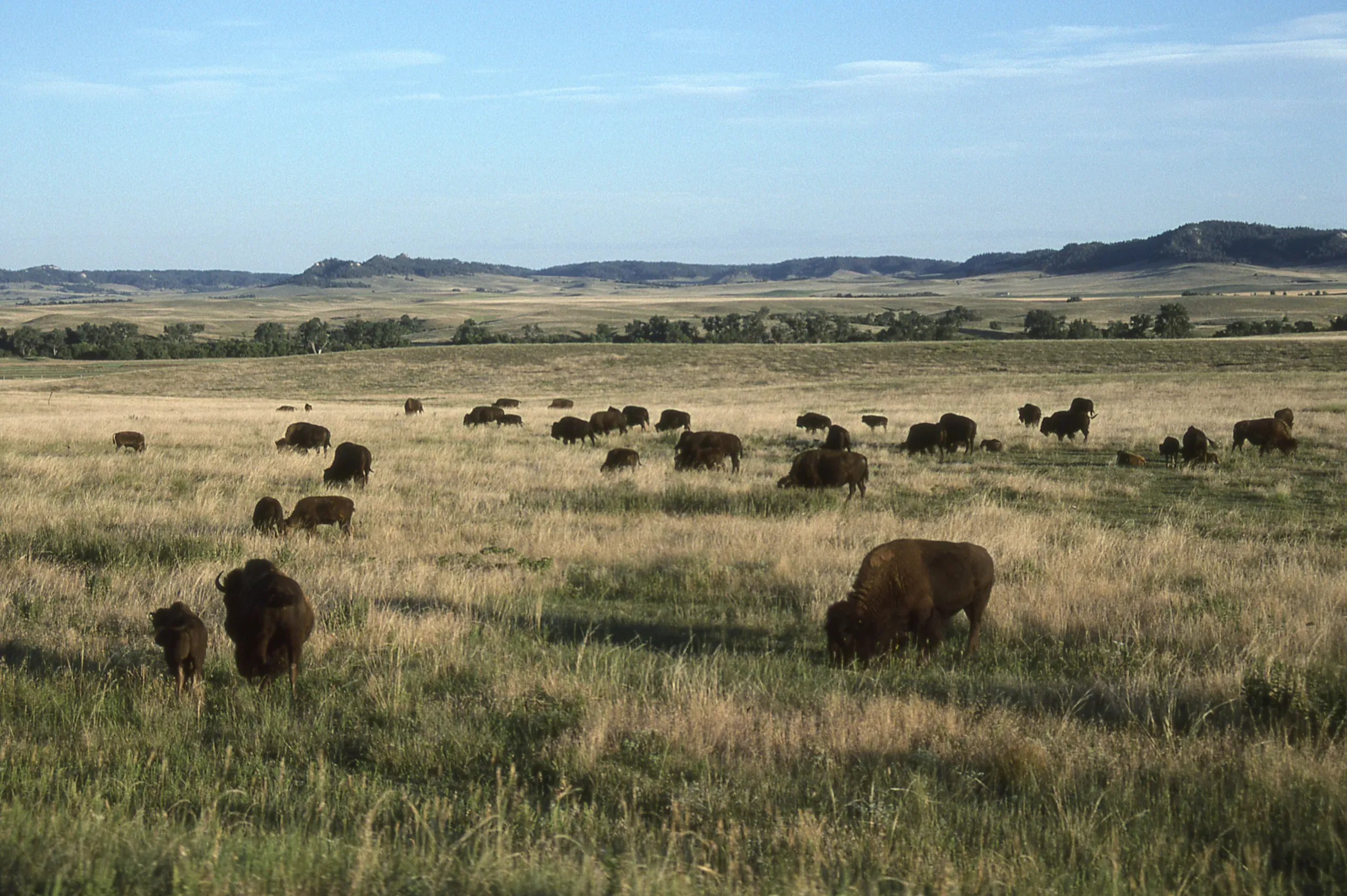 Fort Robinson Lodge, Crawford, Nebraska