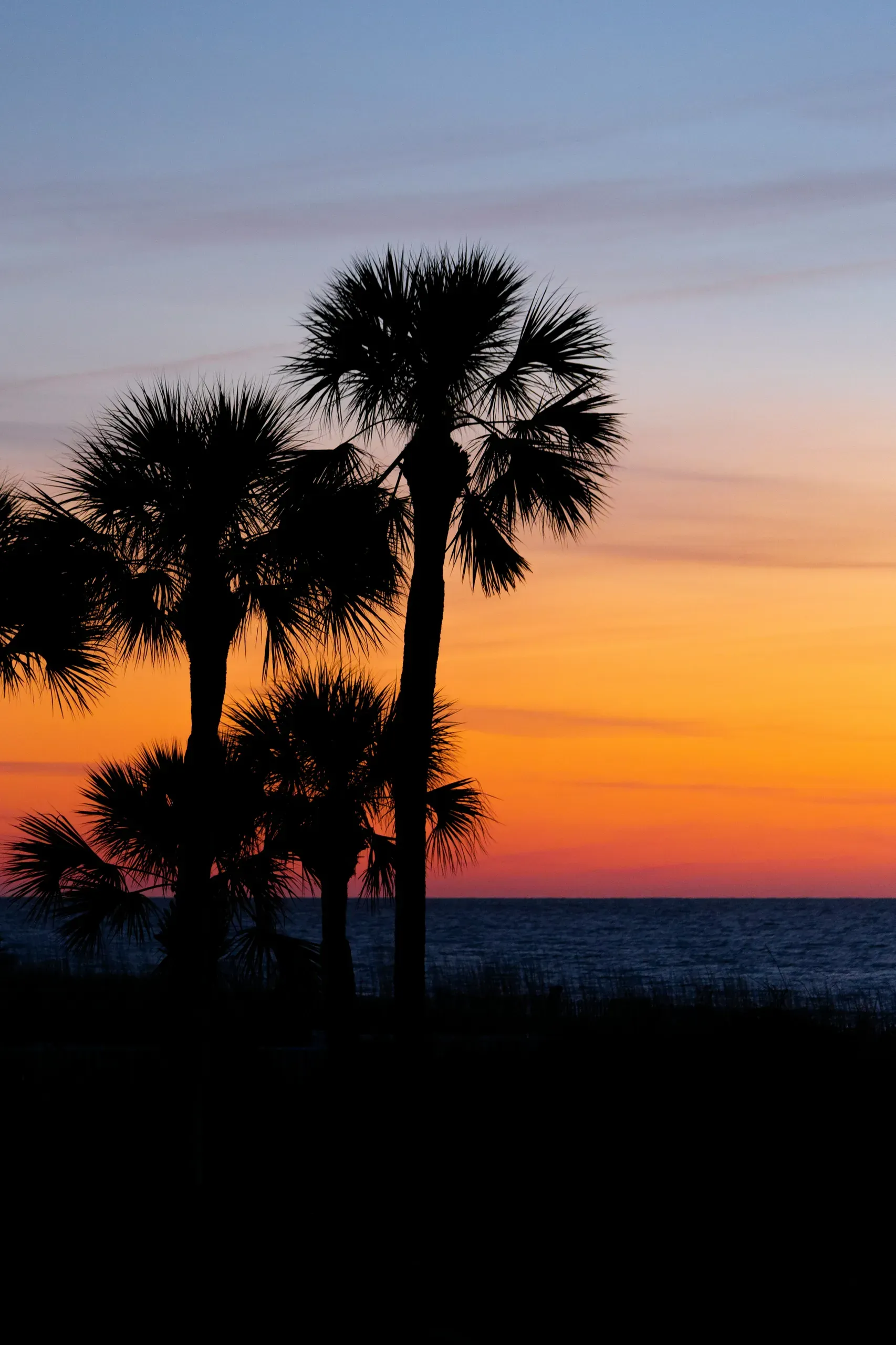 Edisto Beach, South Carolina