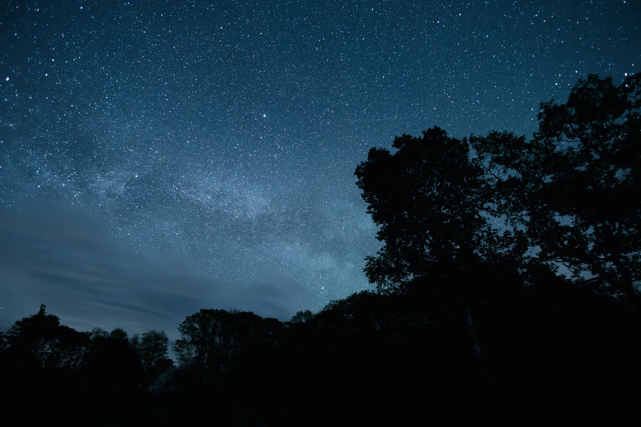 The Milky Way stretches across a starry night sky above the dark silhouette of a treeline in Bristol, Maine.