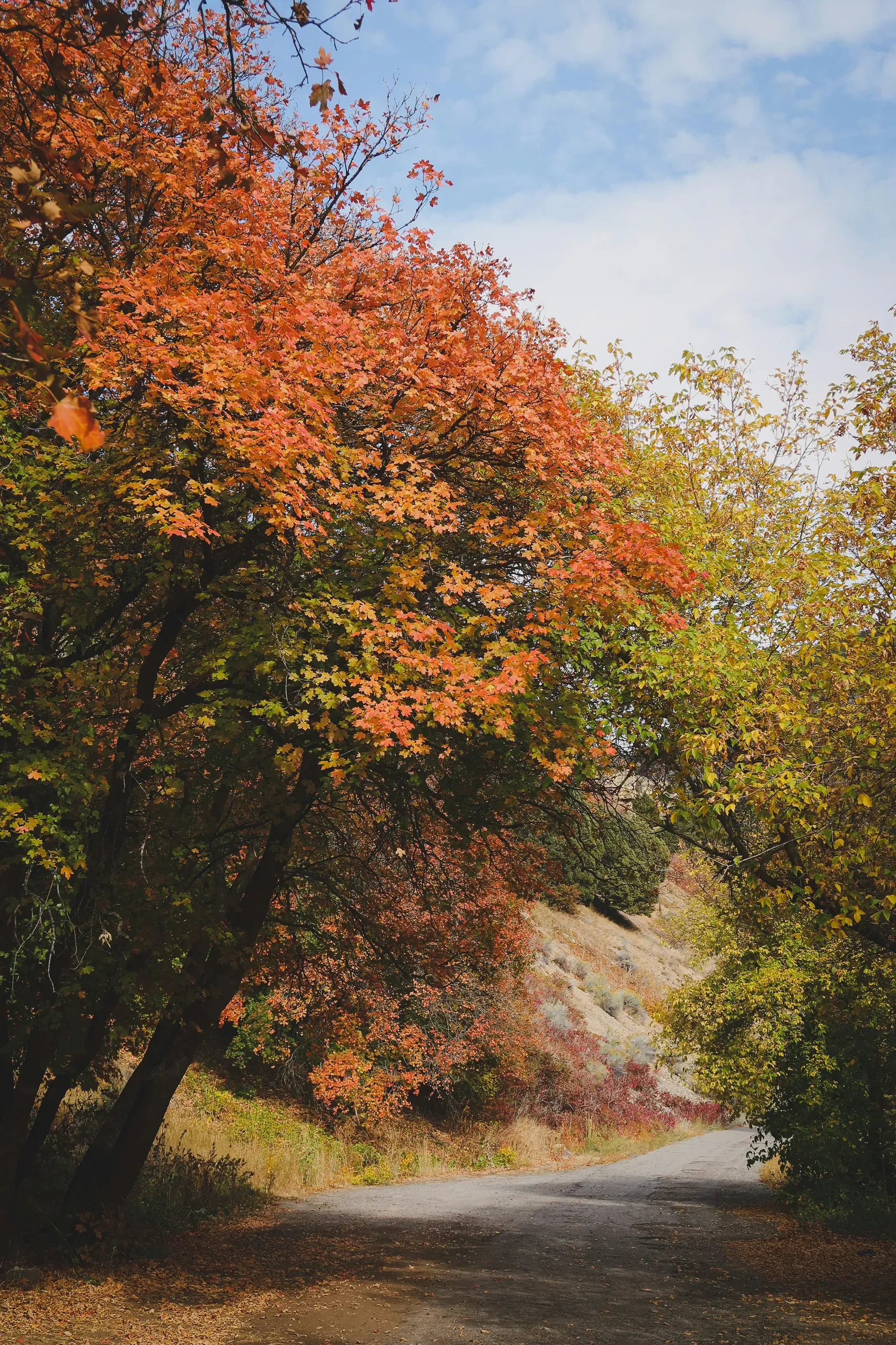 Logan, Utah