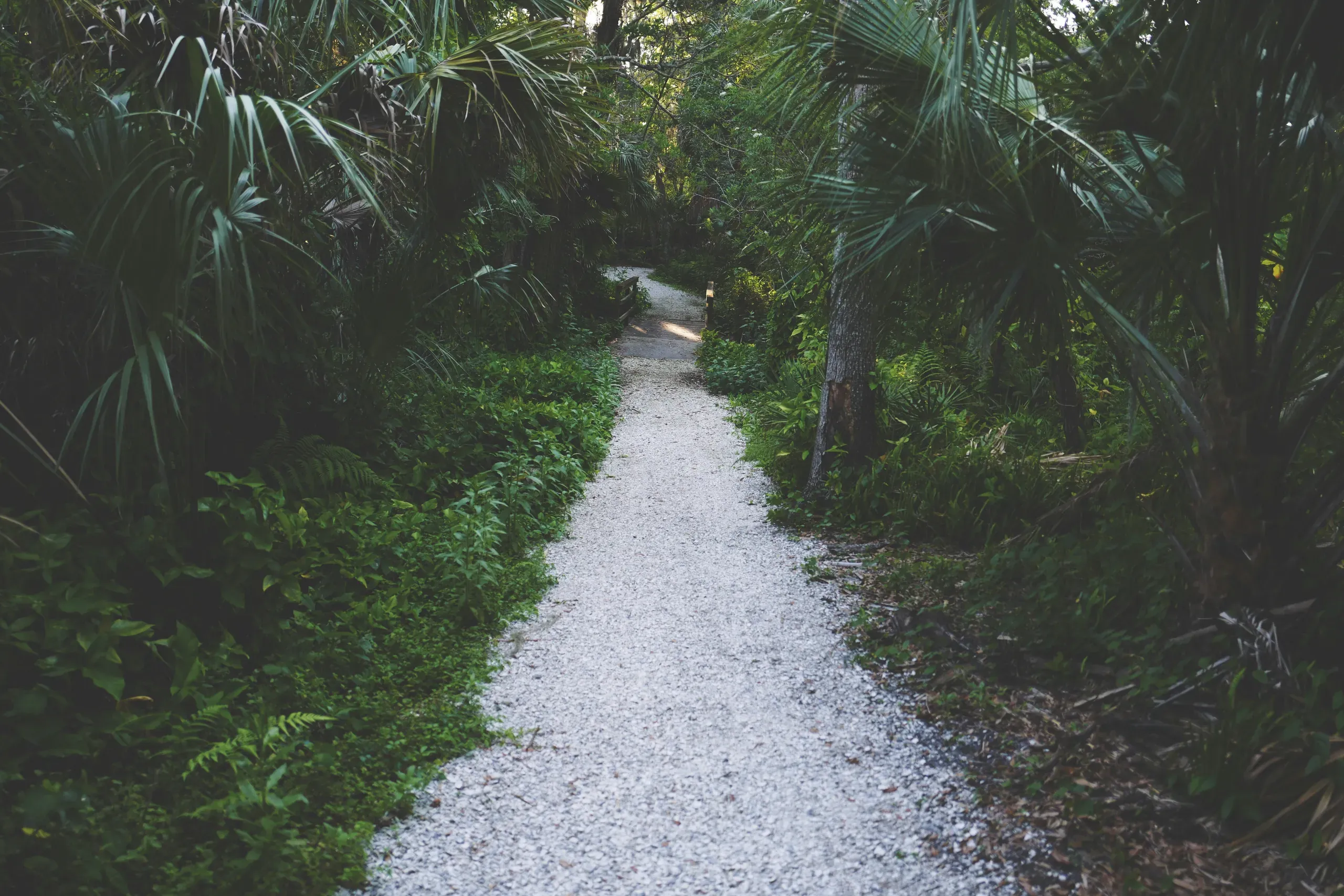 John R. Bonner Nature Park, Largo, Florida