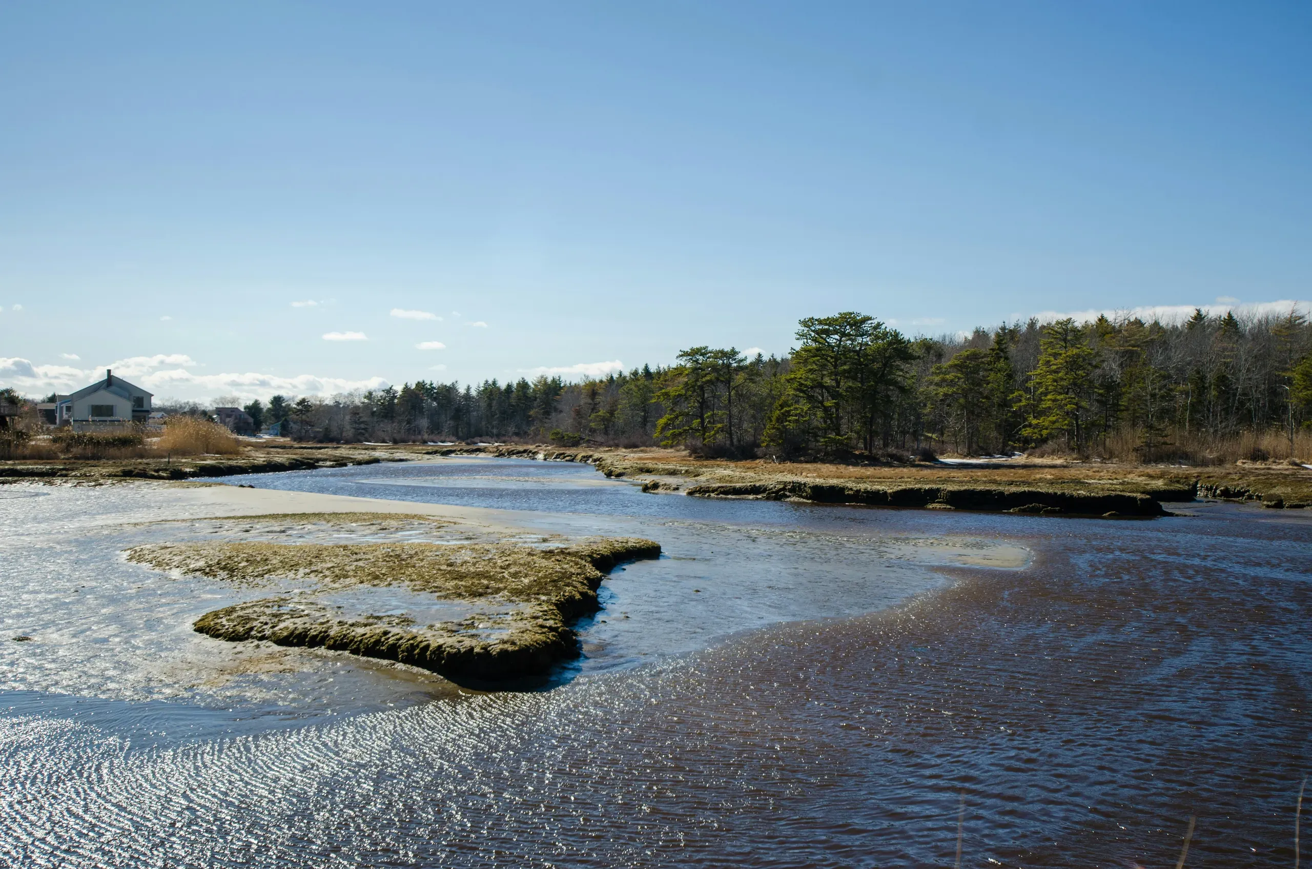Green trees on the shore of a calm lake are reflected in the water under a clear blue sky in Maine.