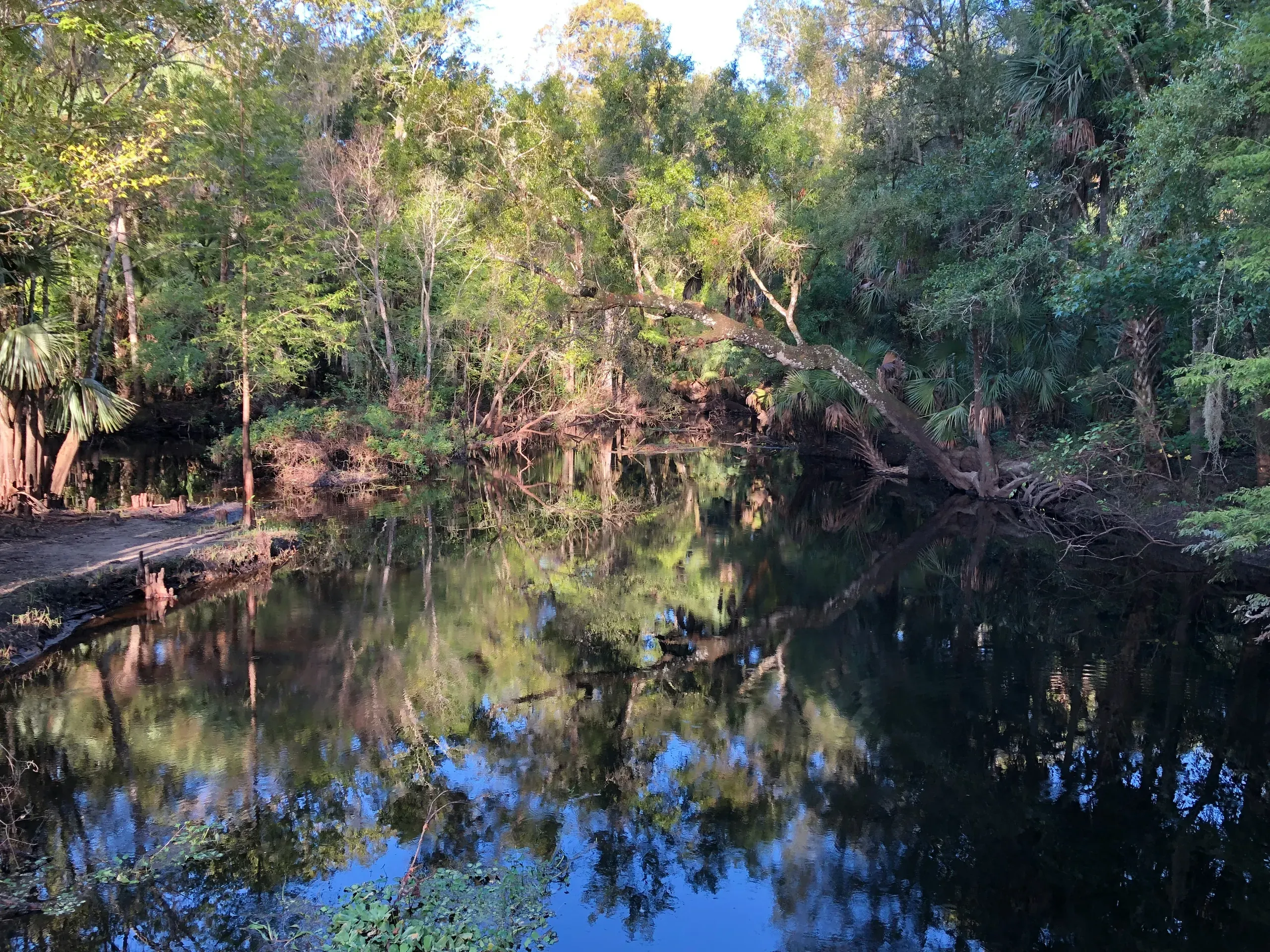 Florida State Park