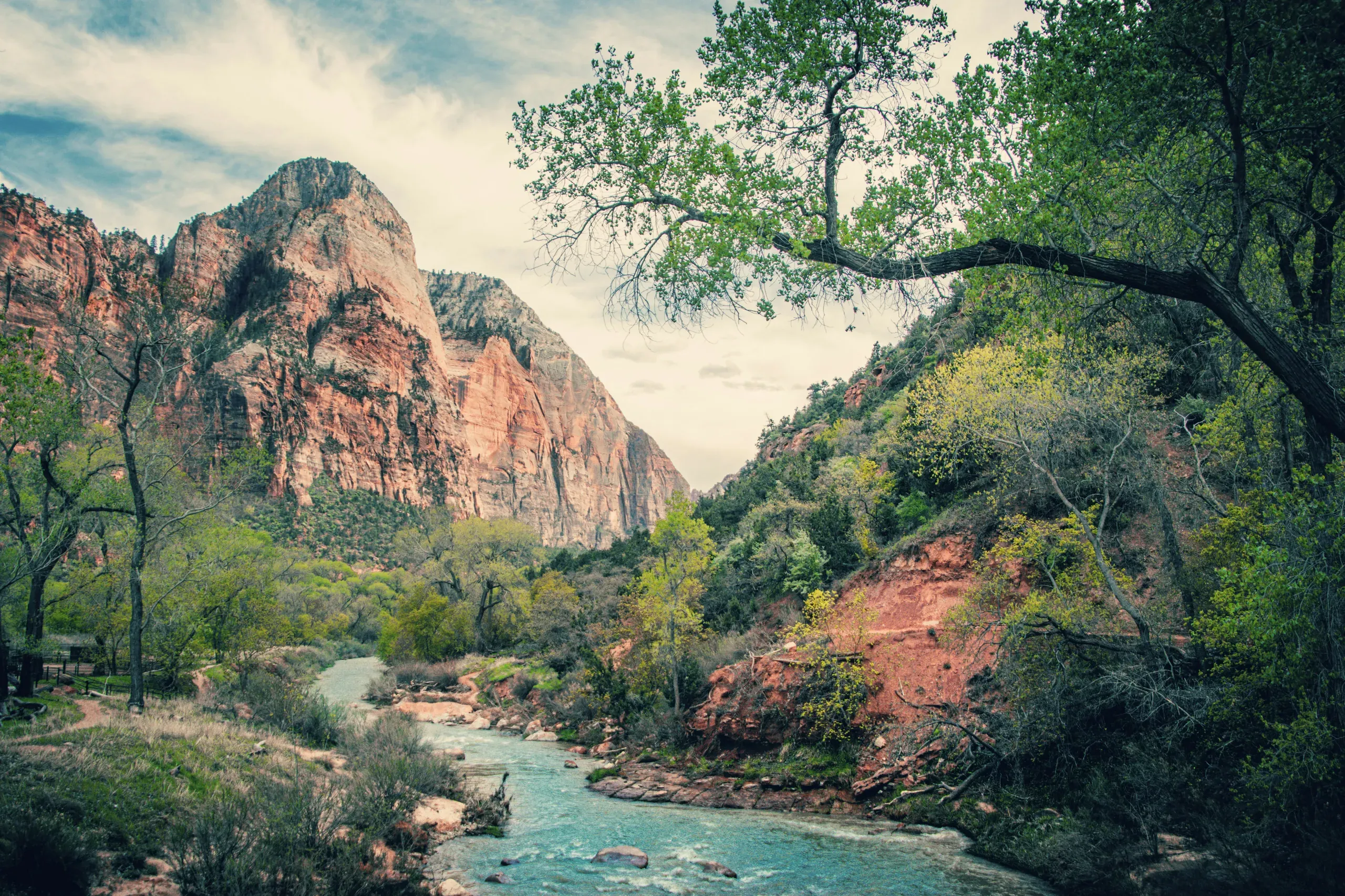 Zion National Park, Utah